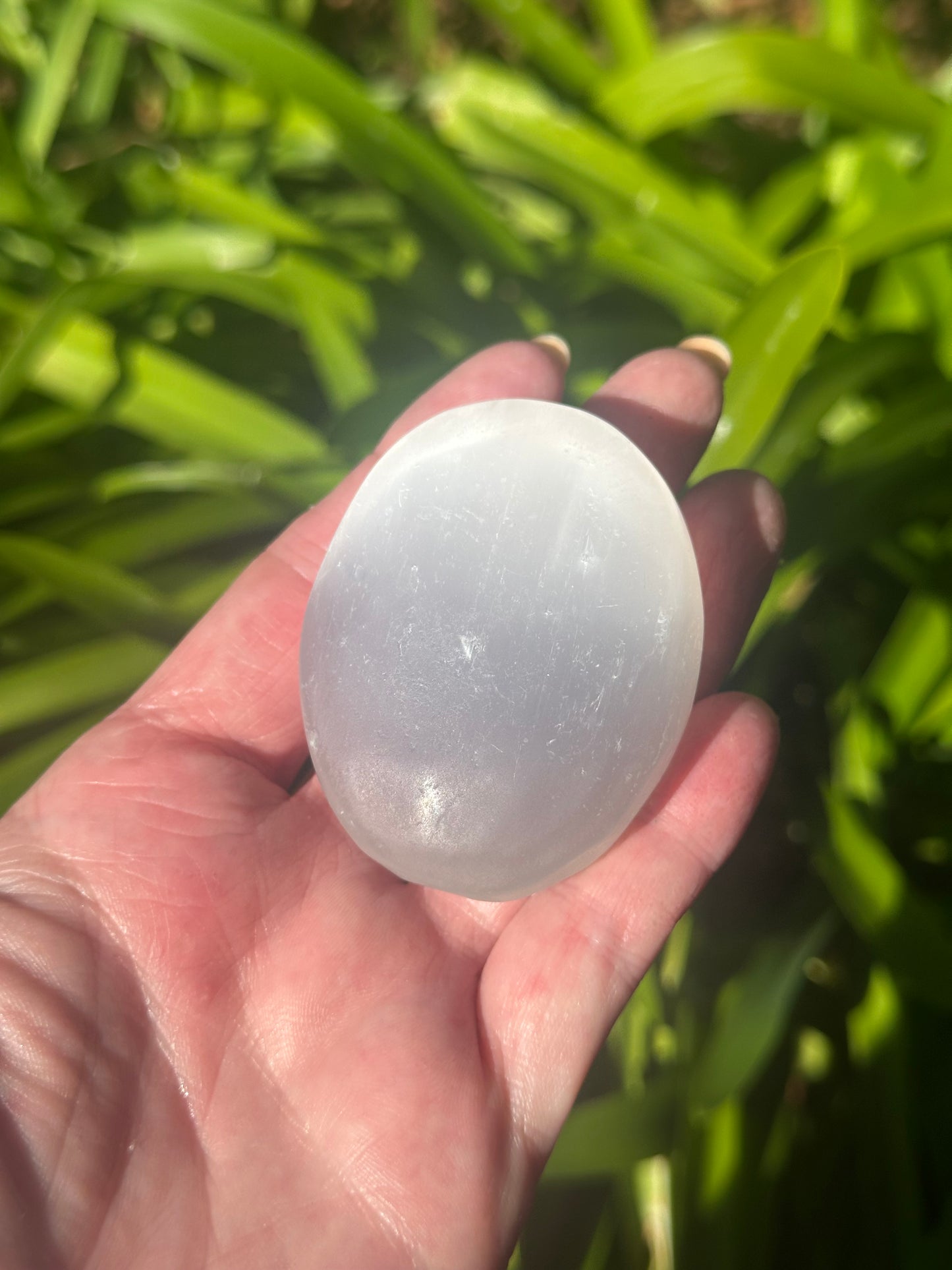 SELENITE Egg, Pyramid, Palm Stone, Mushroom