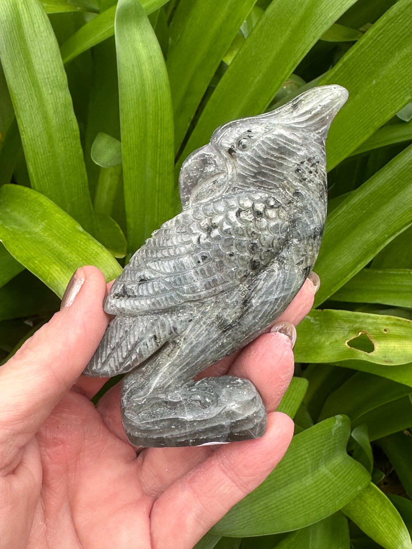 LABRADORITE PARROT Carving