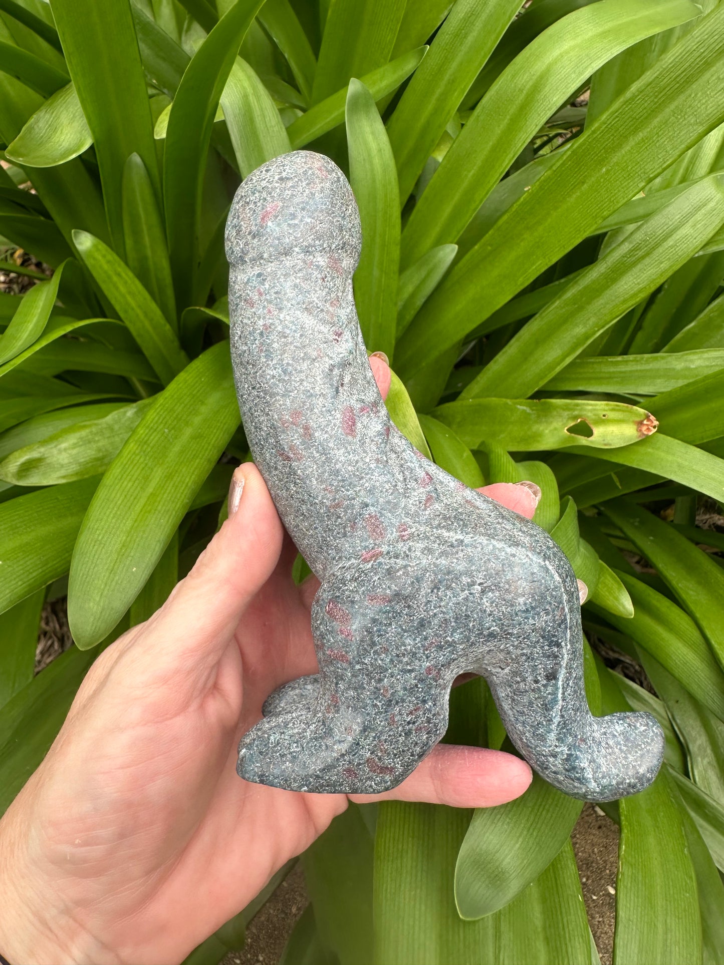RUBY in KYANITE DINO Ding Ding