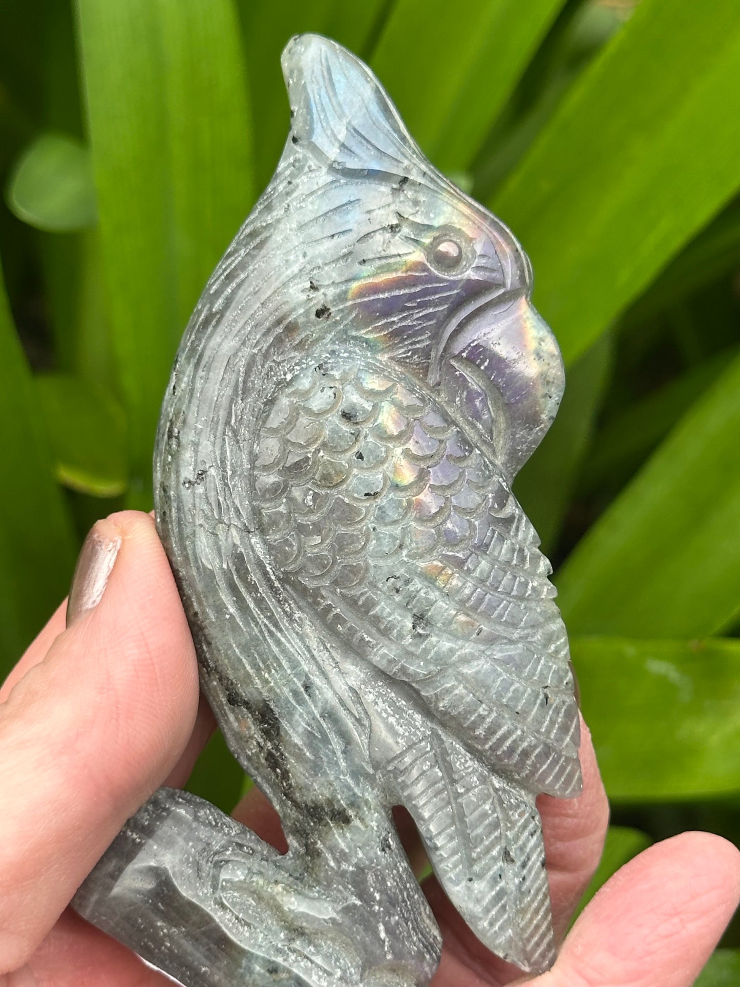 LABRADORITE PARROT Carving