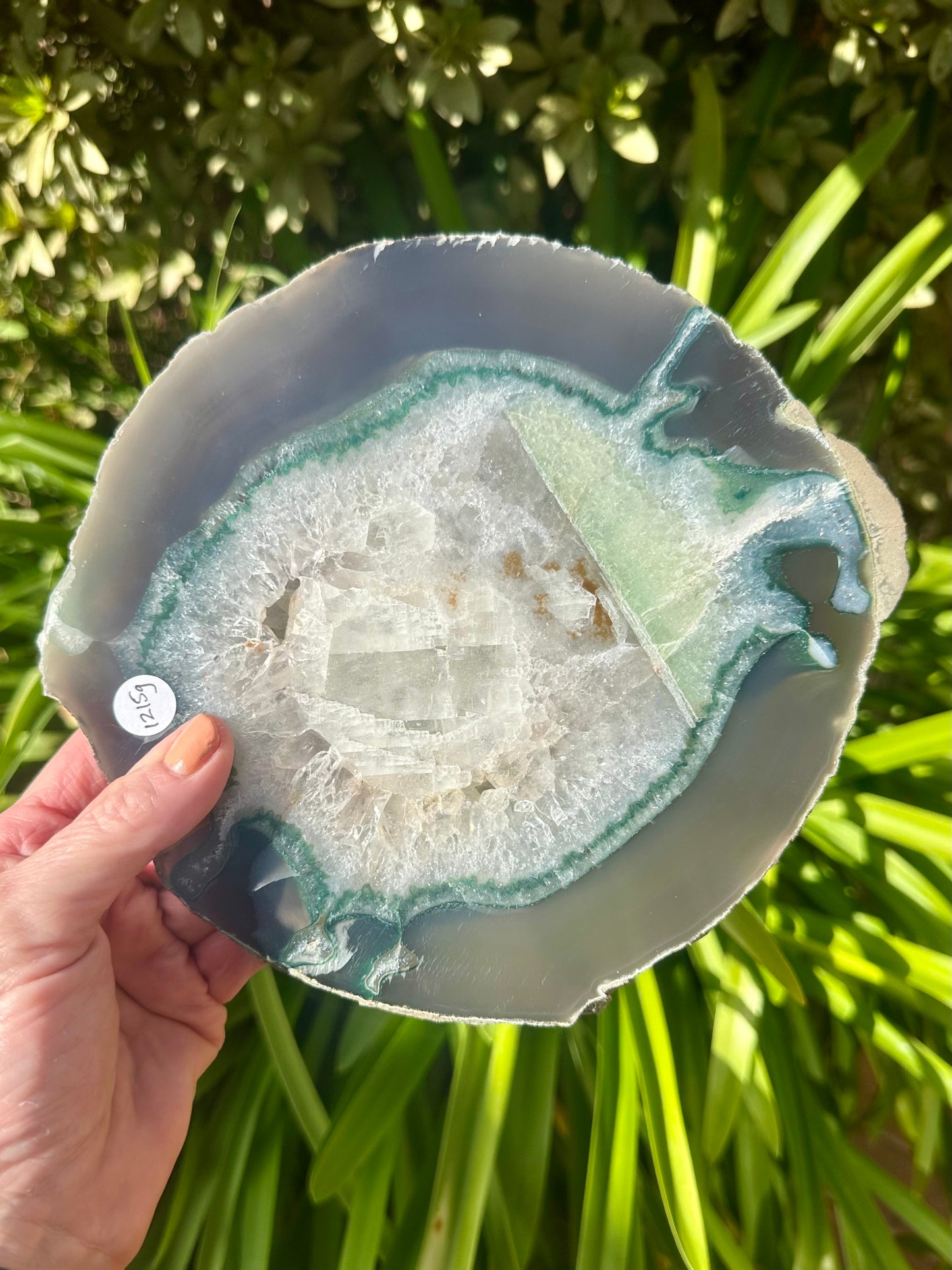 Huge AGATE SLICE with Calcite Inclusion