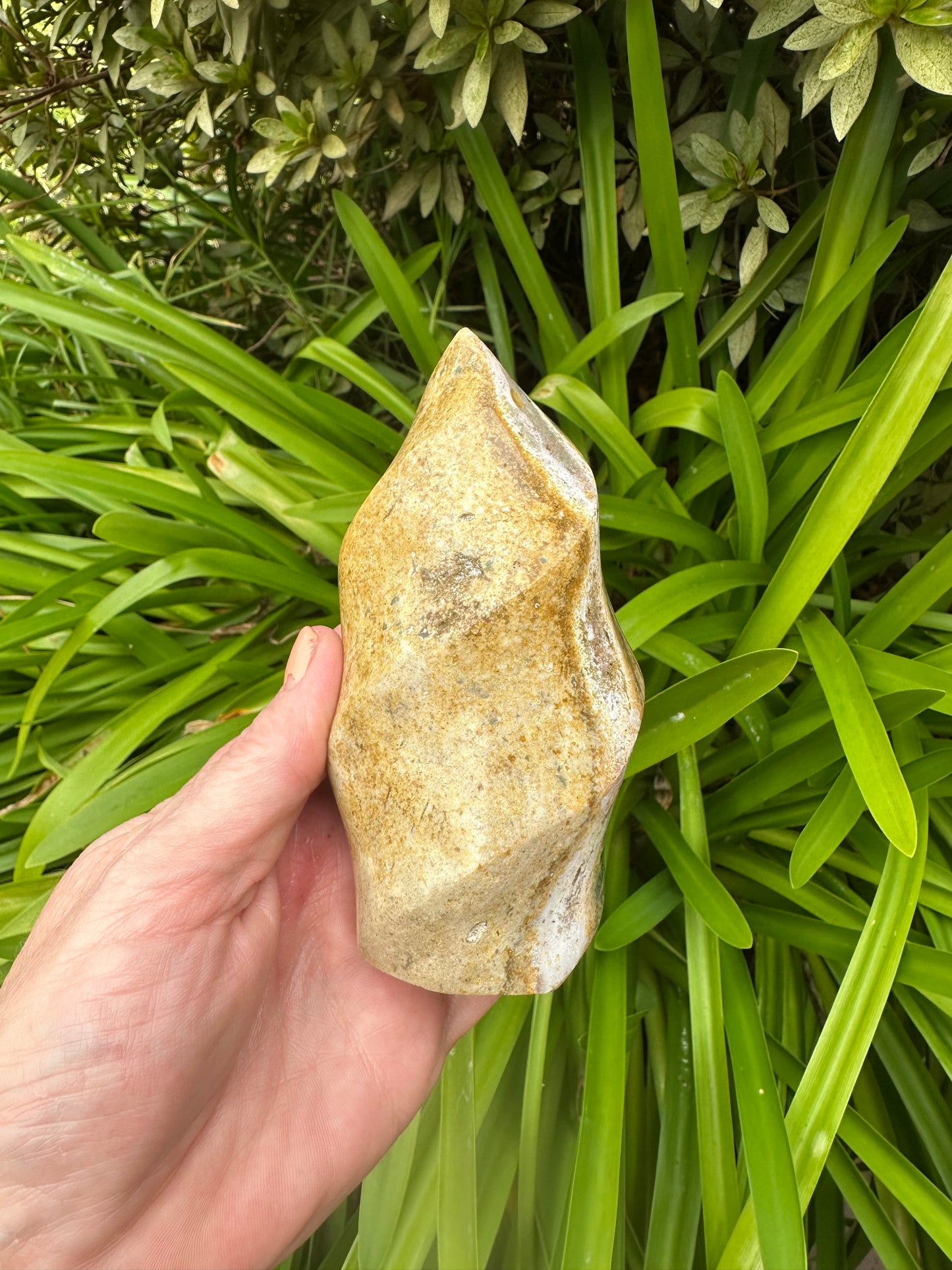 OCEAN JASPER FLAMES