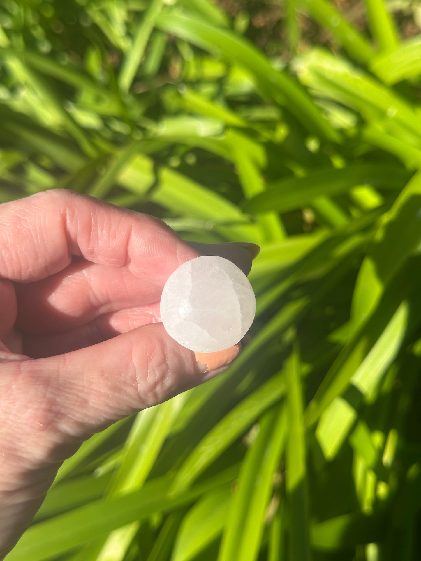 SELENITE Egg, Pyramid, Palm Stone, Mushroom