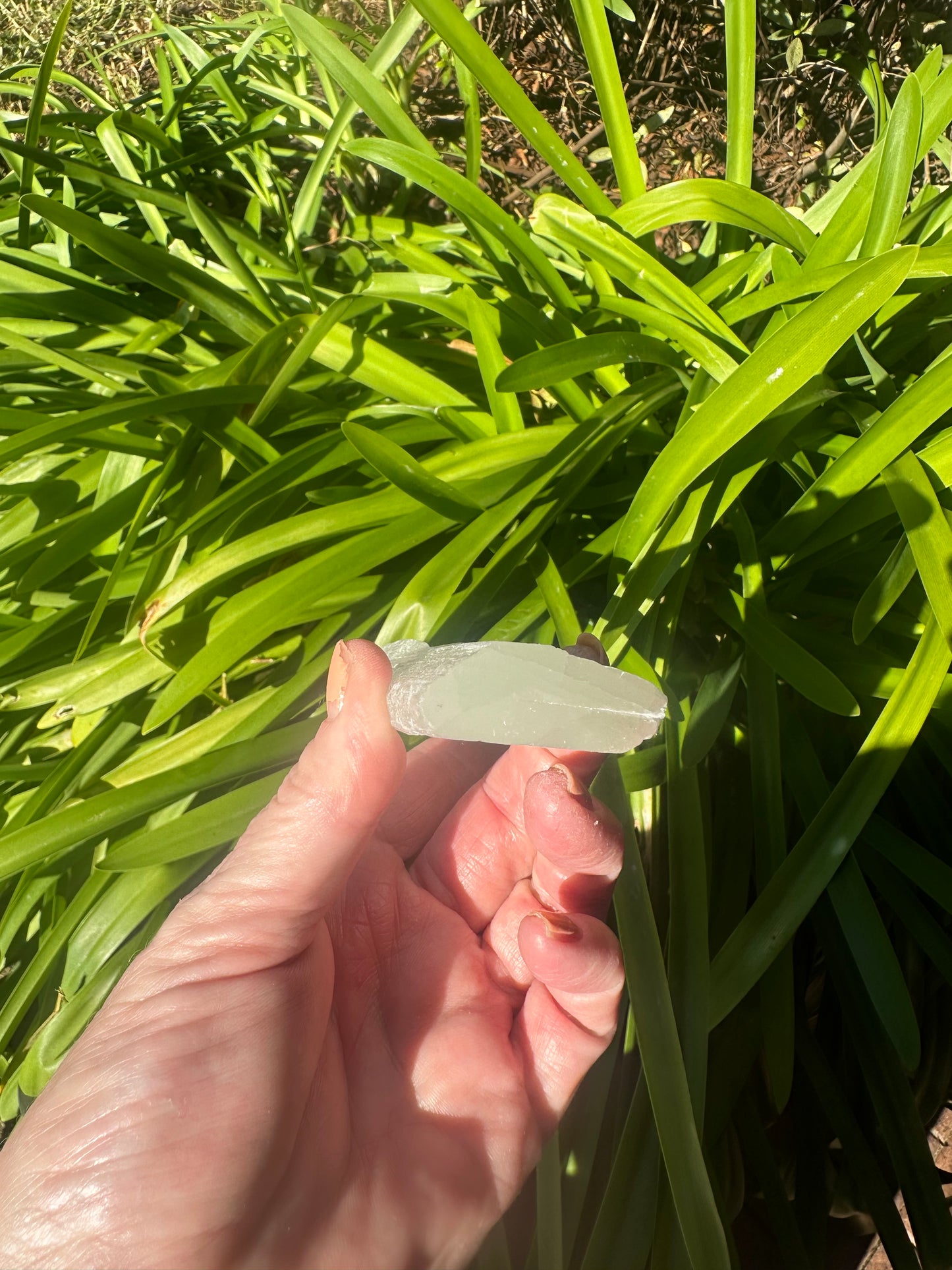Assorted SELENITE RODS