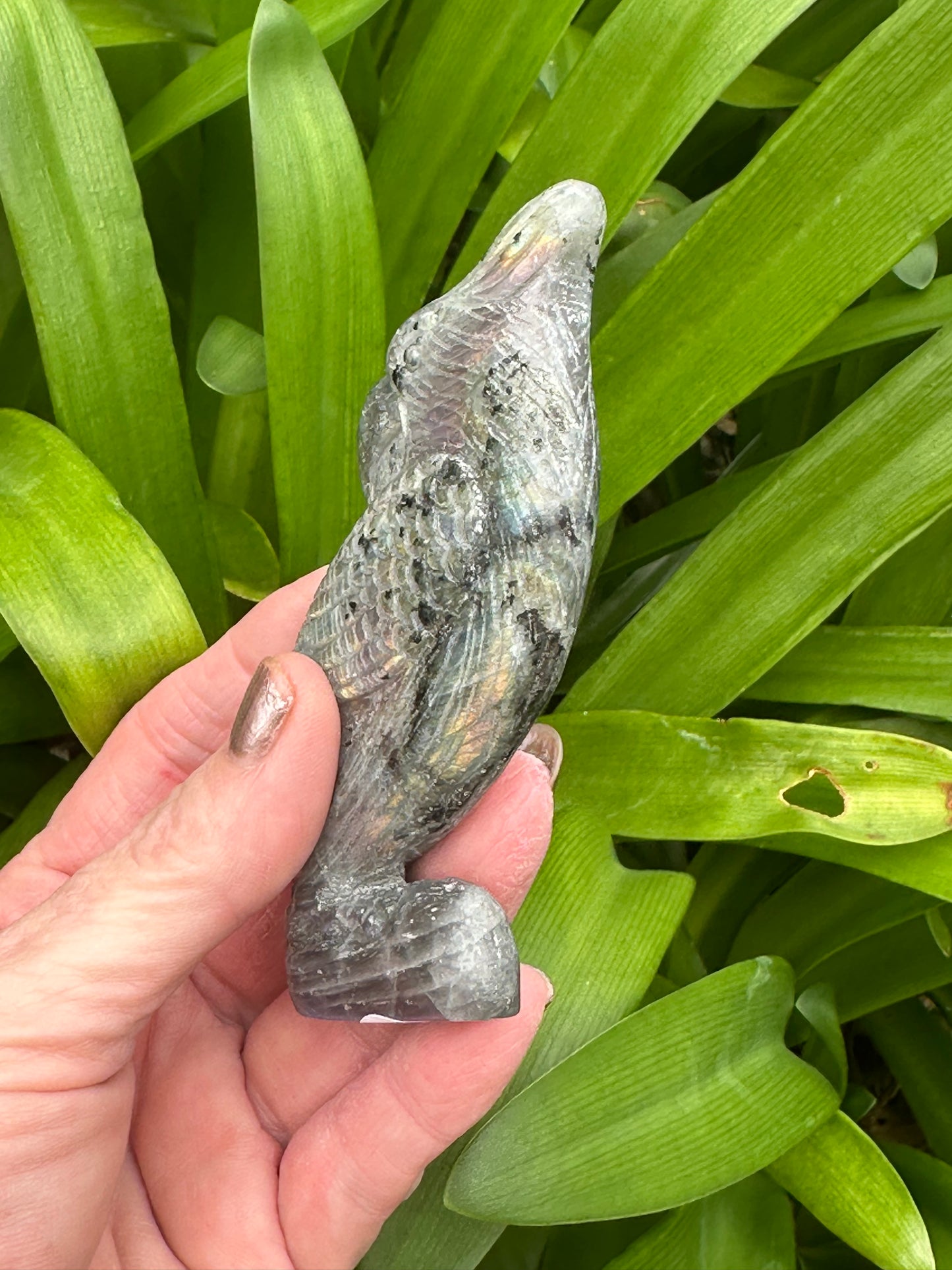 LABRADORITE PARROT Carving