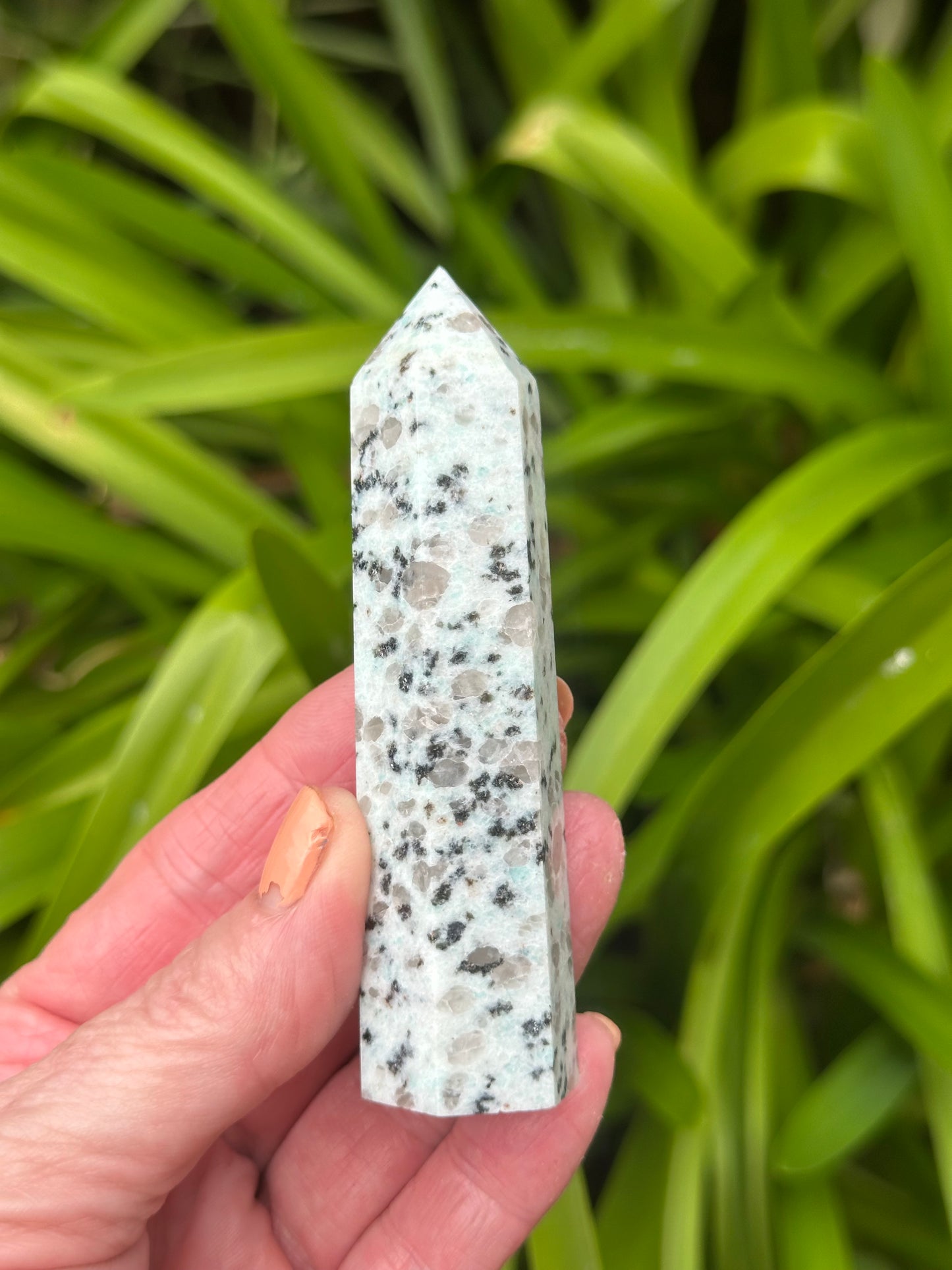 KIWI JASPER TOWERS
