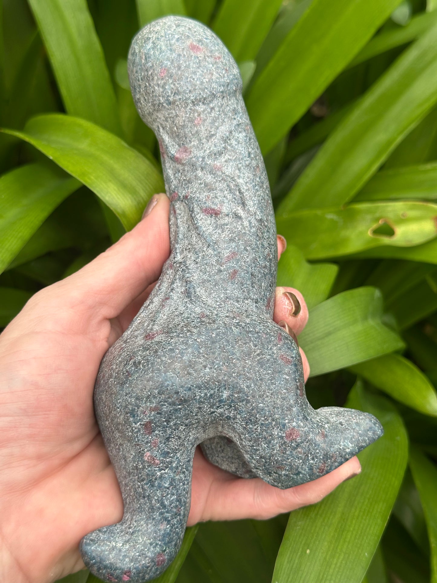 RUBY in KYANITE DINO Ding Ding