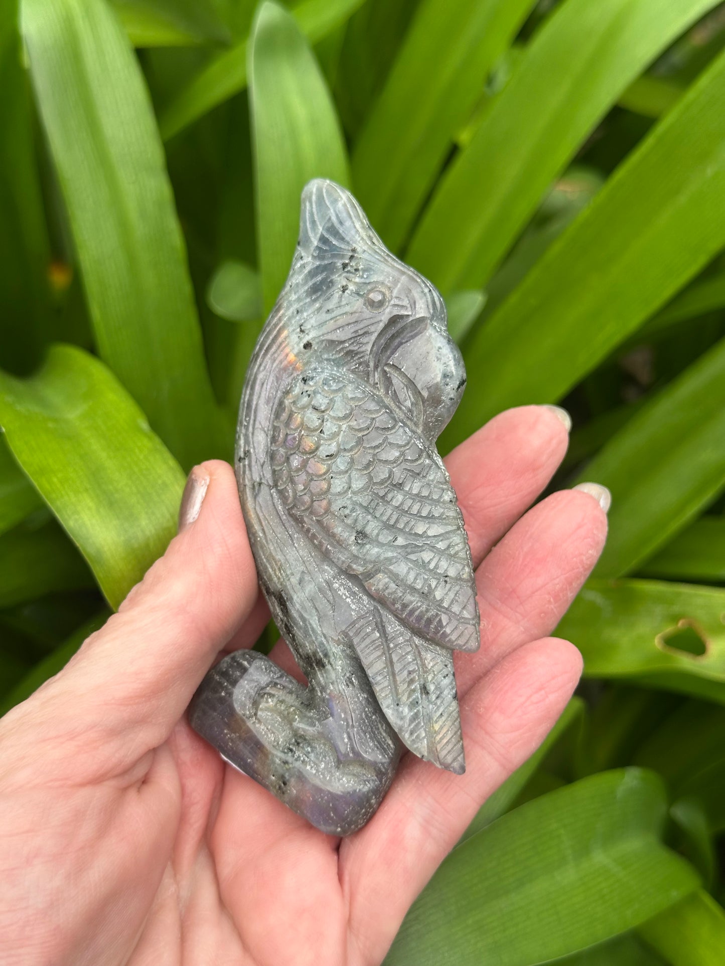 LABRADORITE PARROT Carving