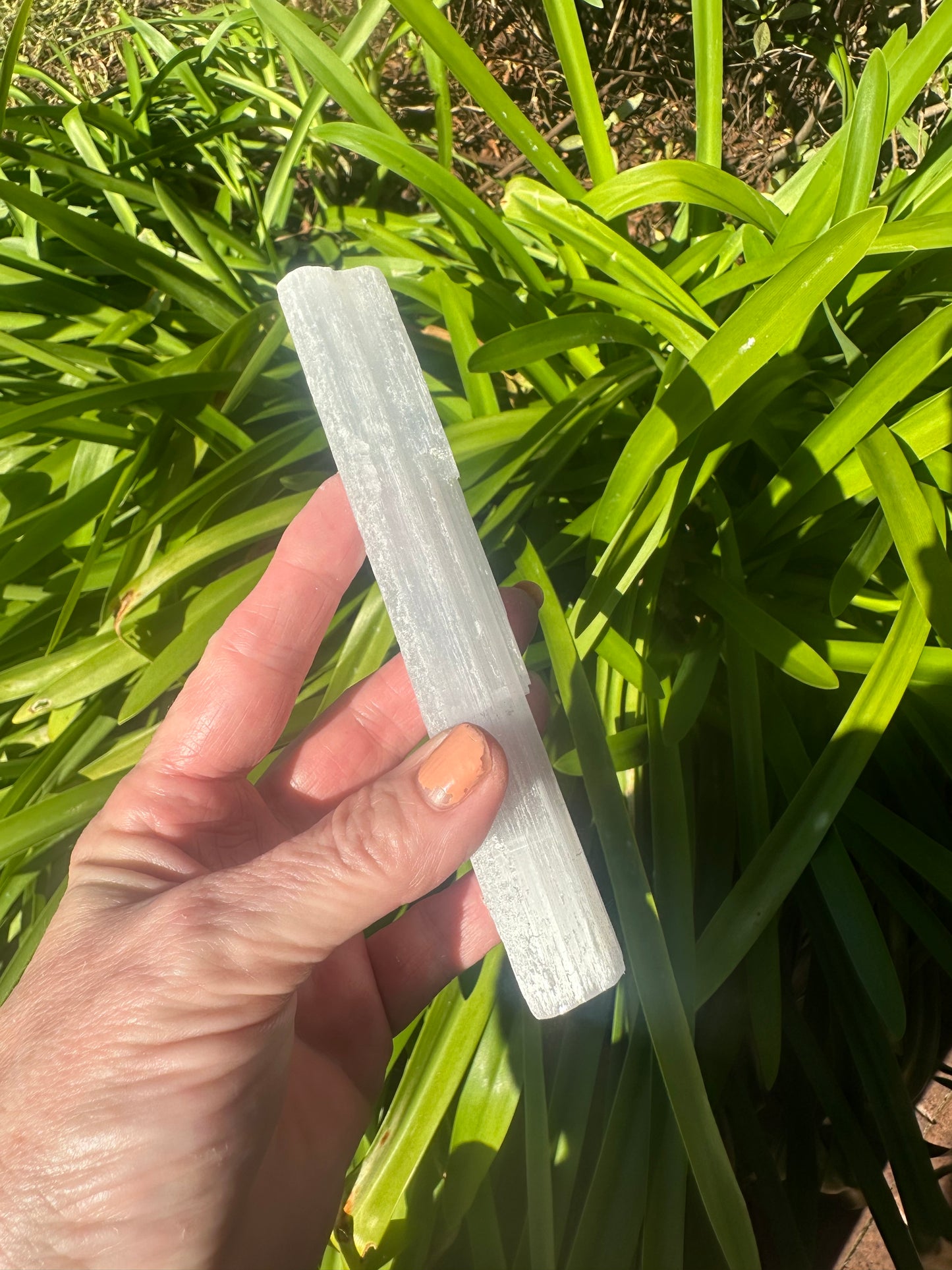 Assorted SELENITE RODS