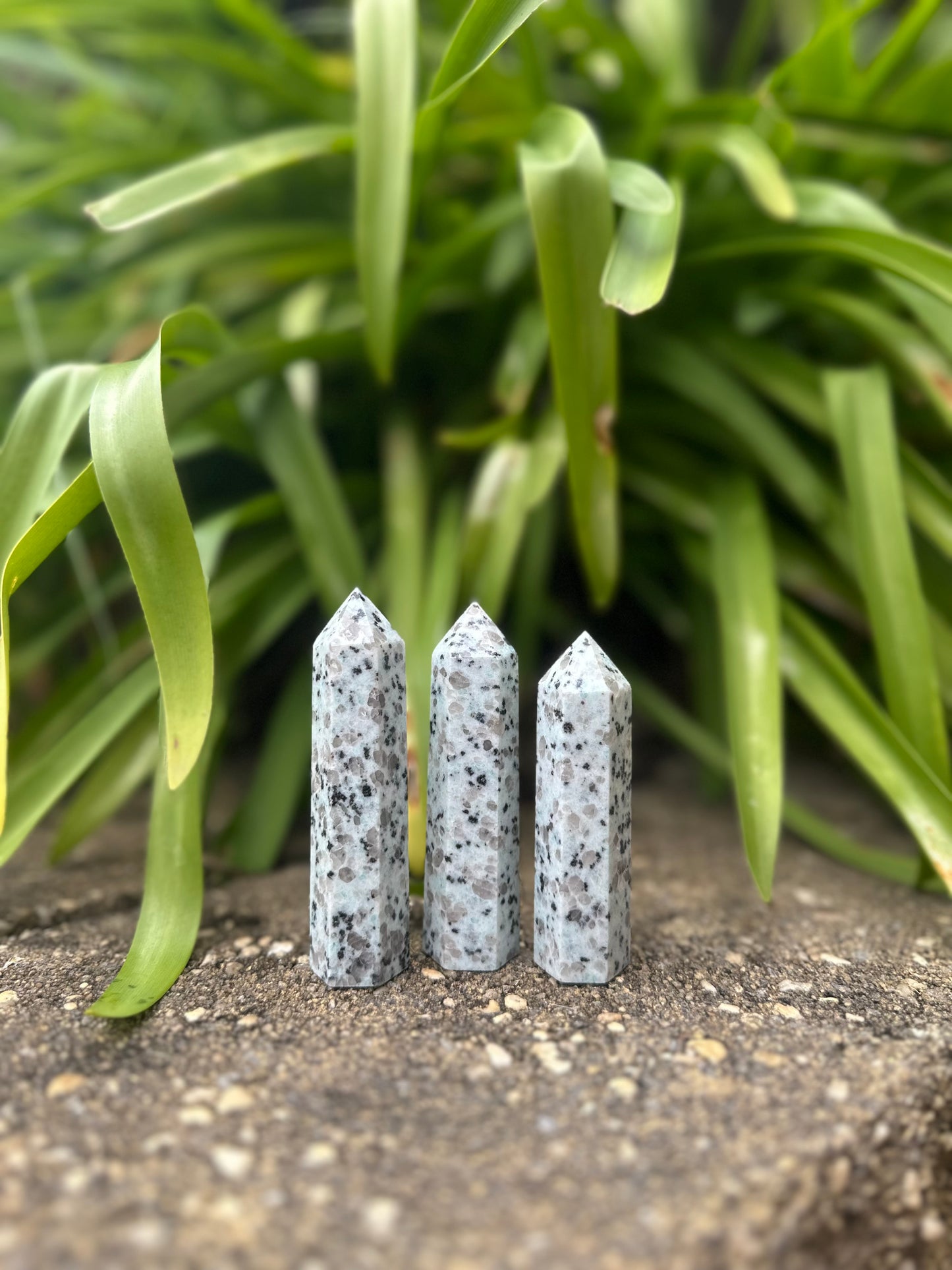 KIWI JASPER TOWERS