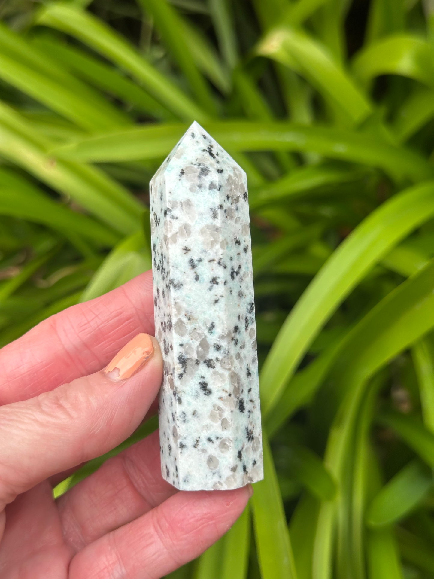 KIWI JASPER TOWERS