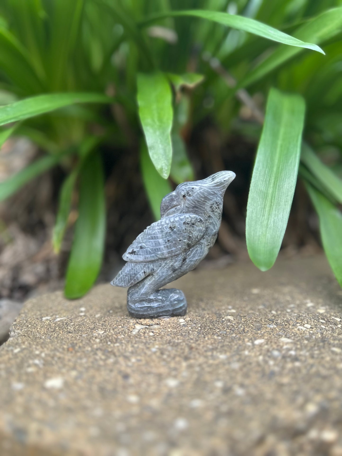 LABRADORITE PARROT Carving