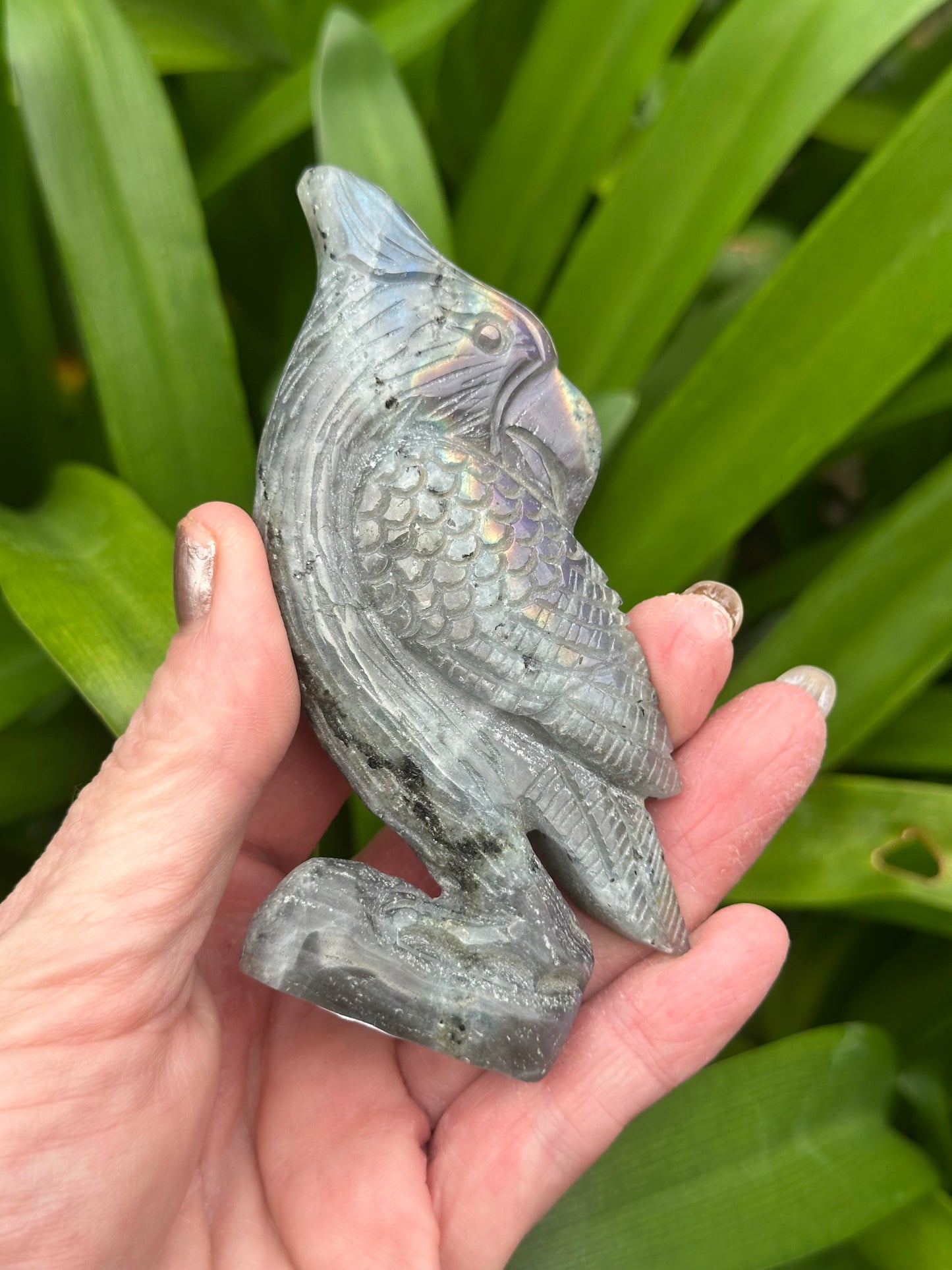 LABRADORITE PARROT Carving