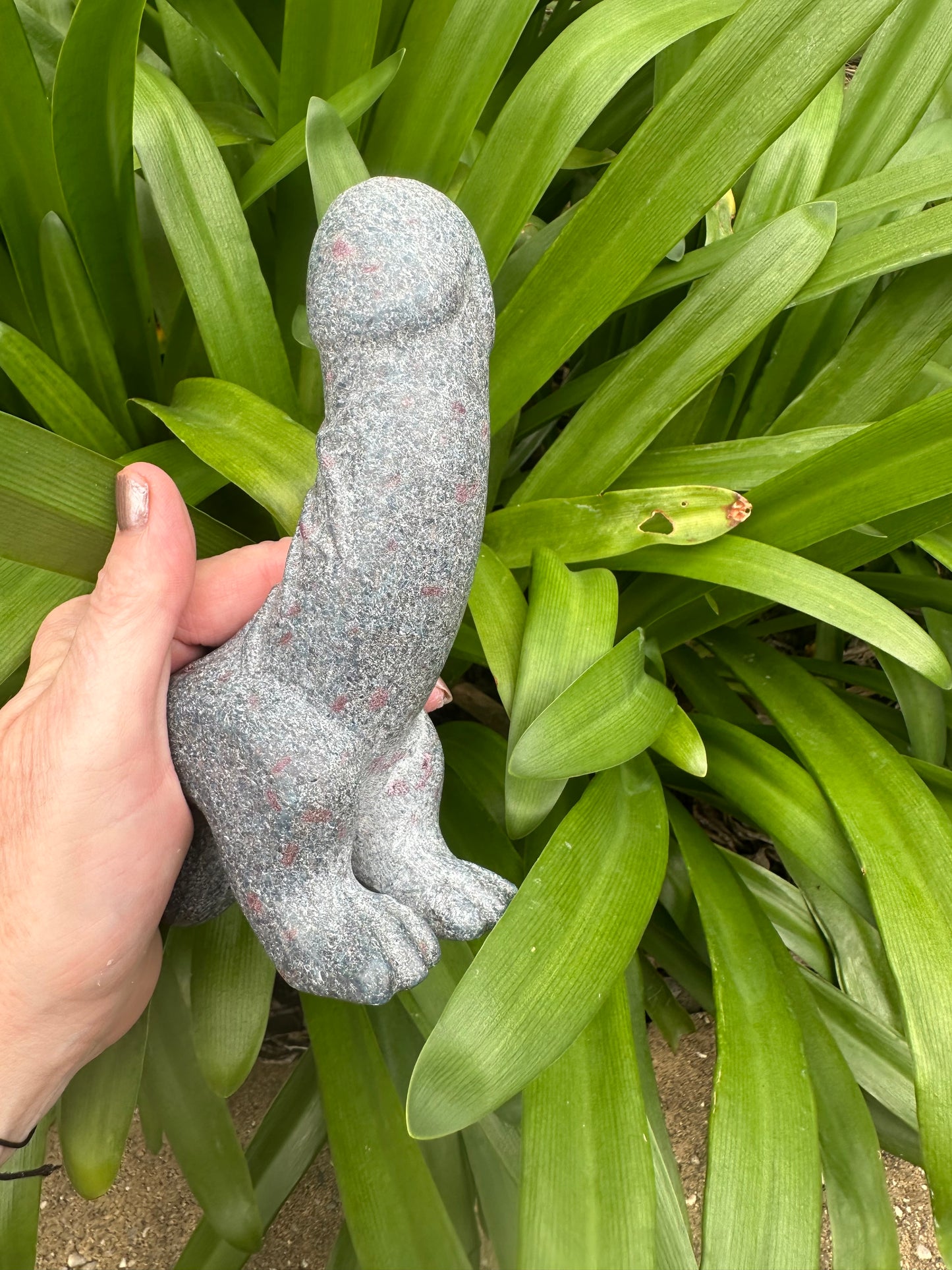RUBY in KYANITE DINO Ding Ding