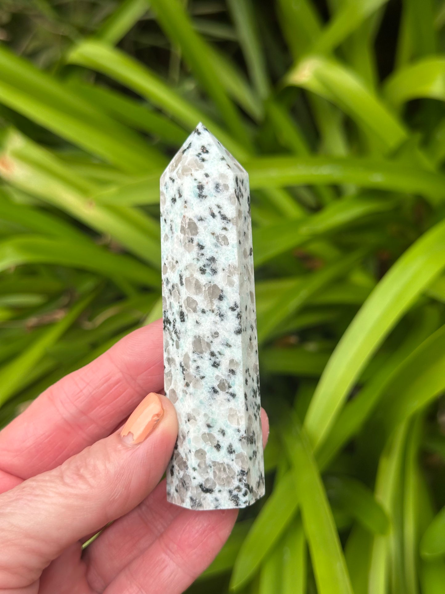 KIWI JASPER TOWERS