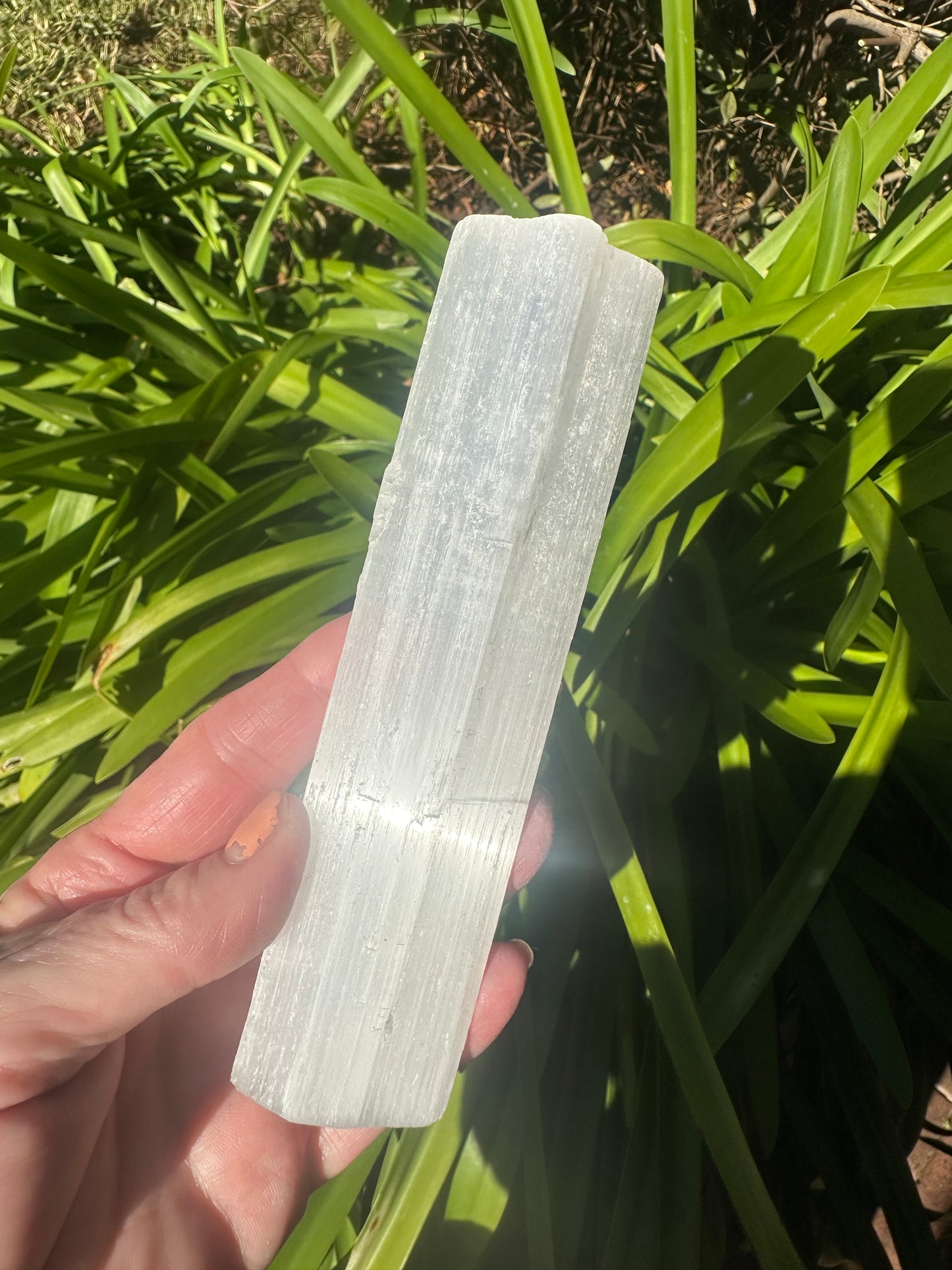 Assorted SELENITE RODS