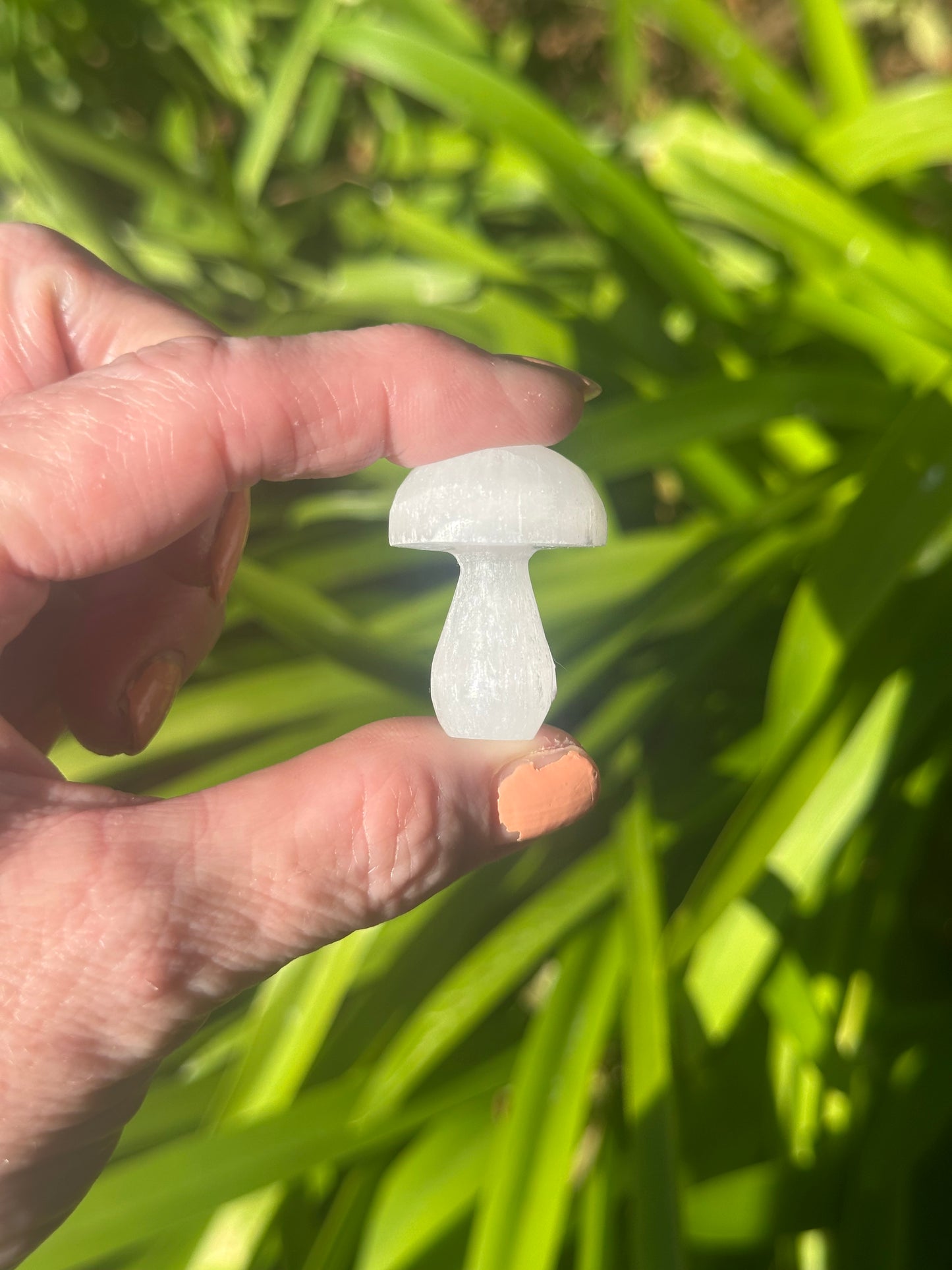 SELENITE Egg, Pyramid, Palm Stone, Mushroom