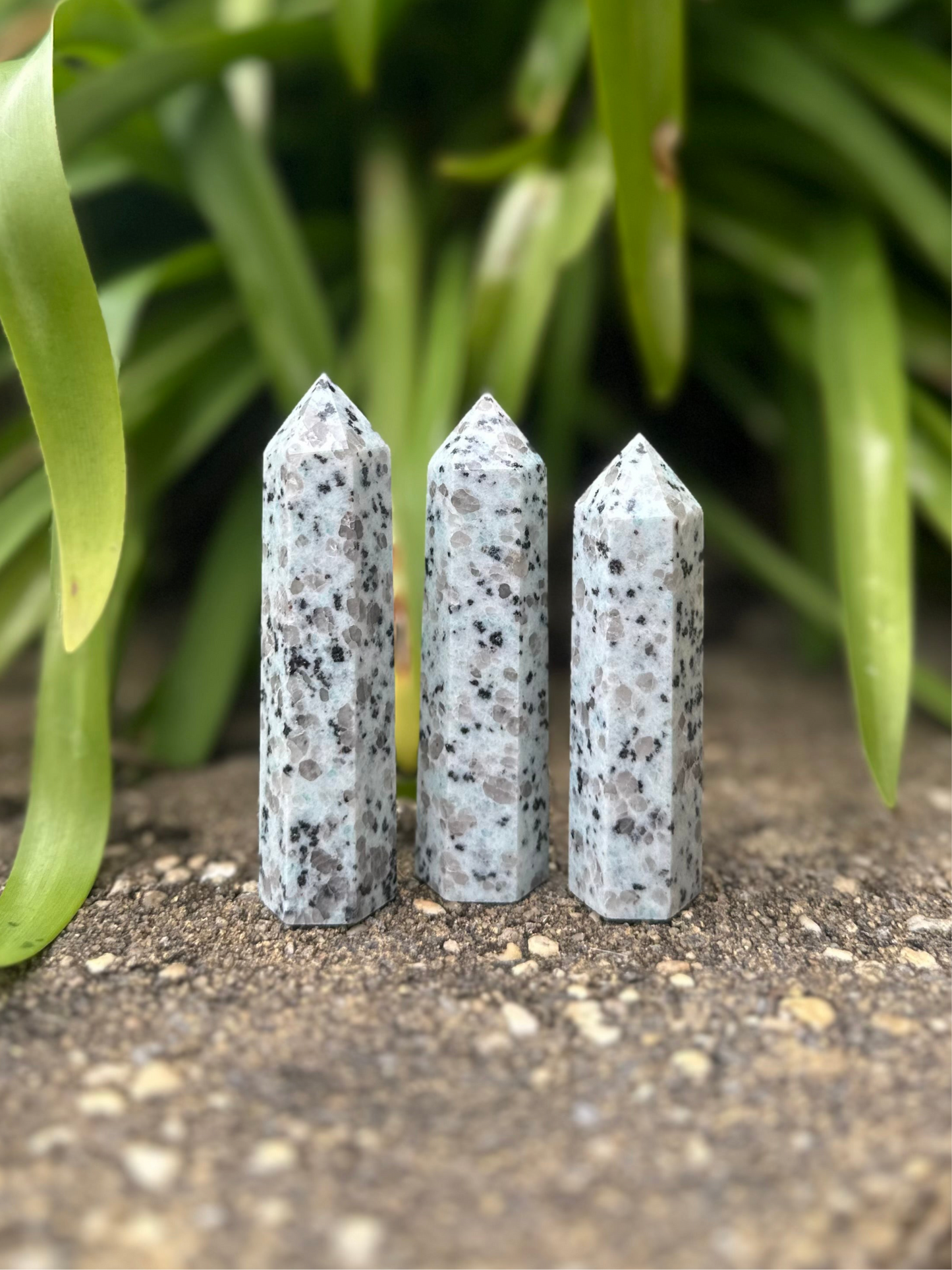 KIWI JASPER TOWERS