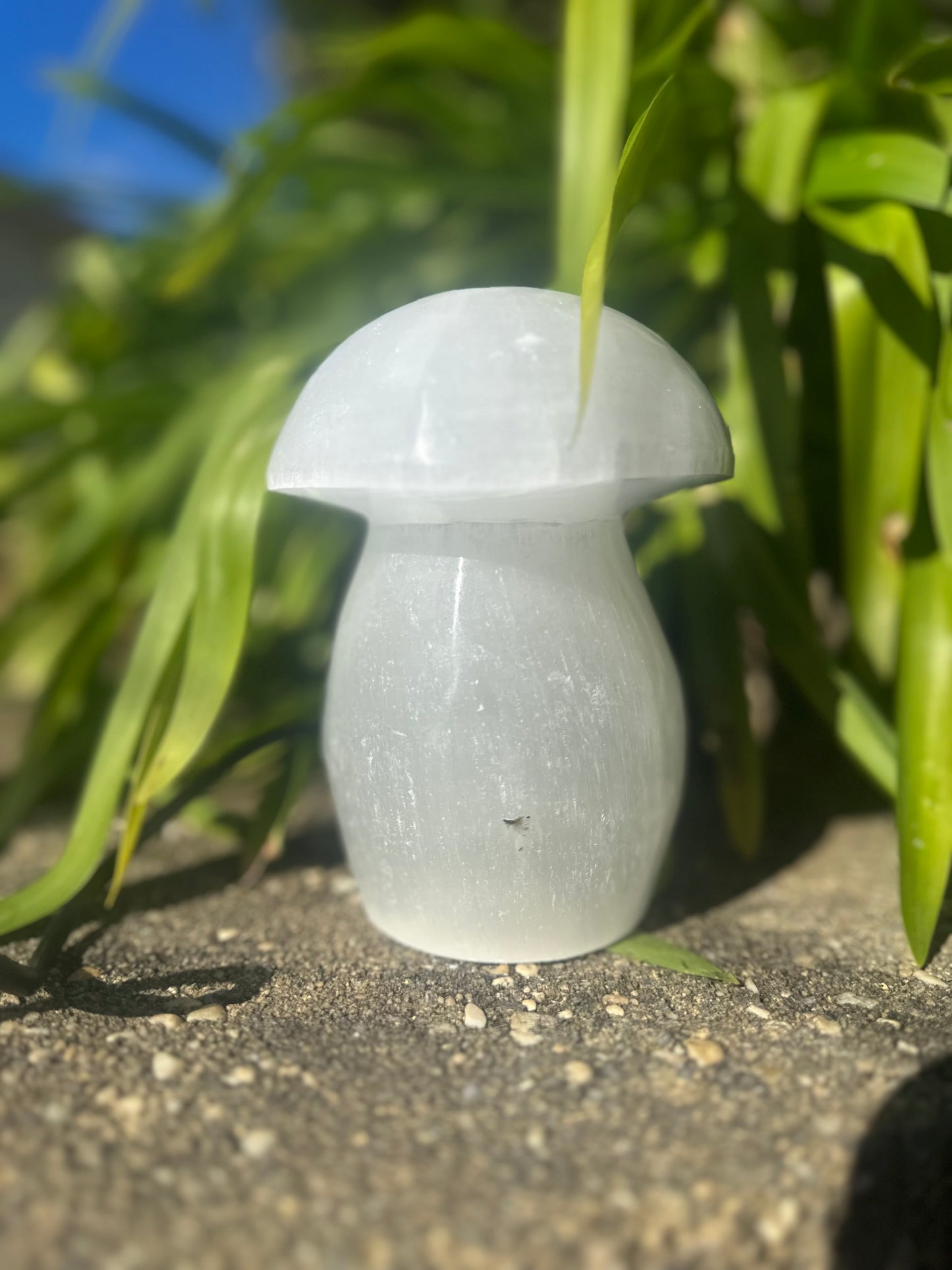 Large SELENITE MUSHROOM LAMP