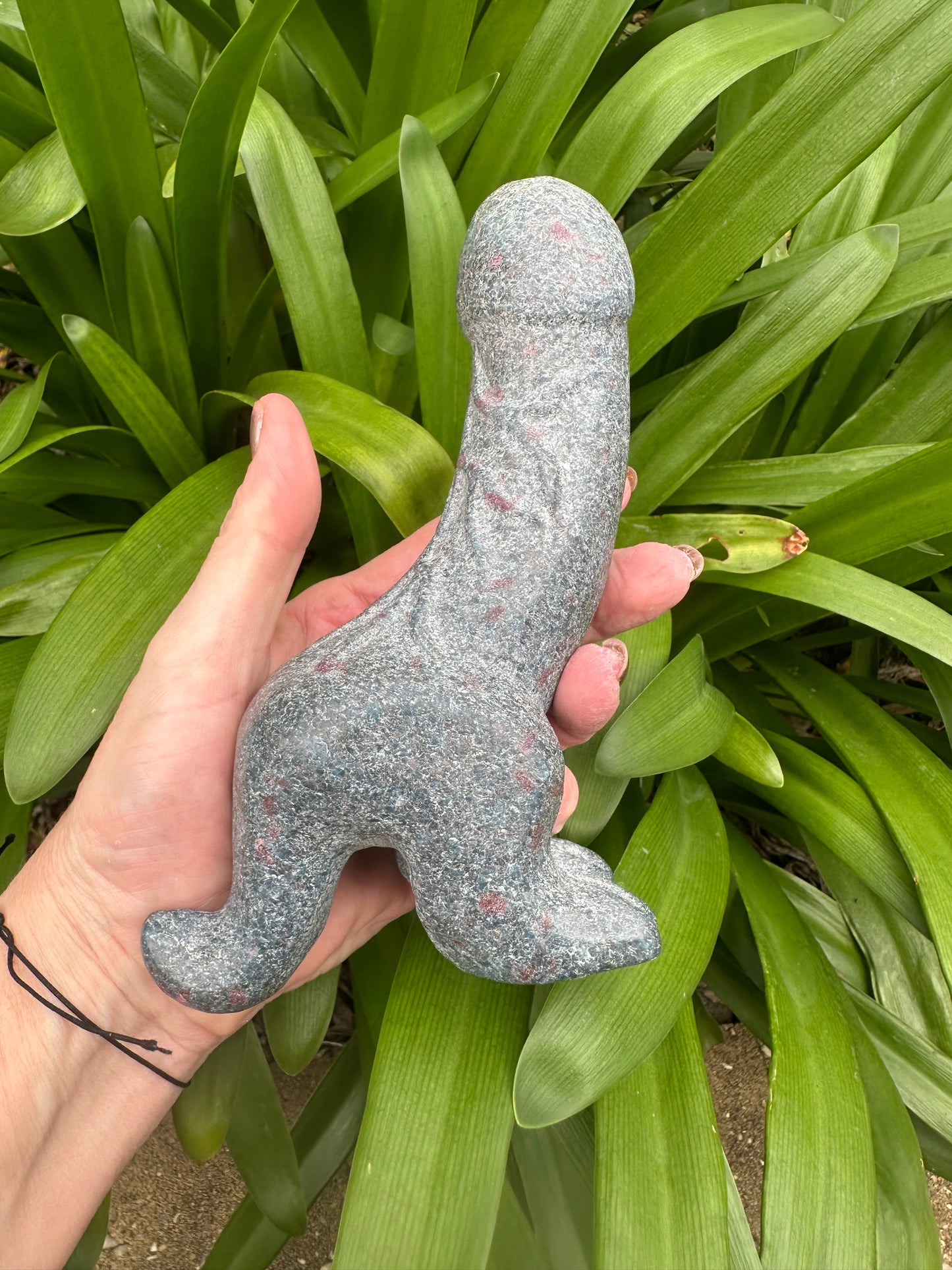 RUBY in KYANITE DINO Ding Ding