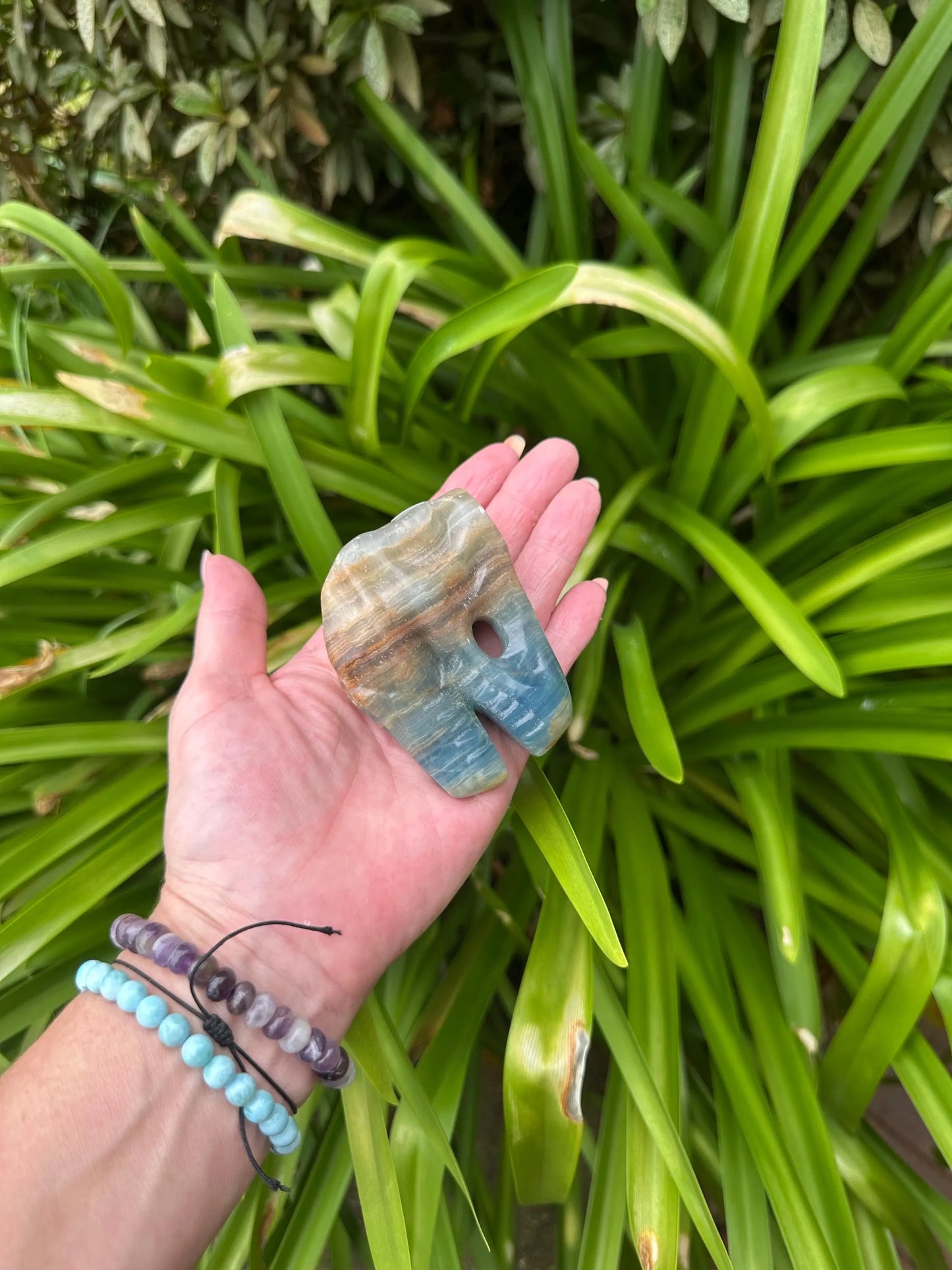 BLUE ONYX DINOSAUR SKULL