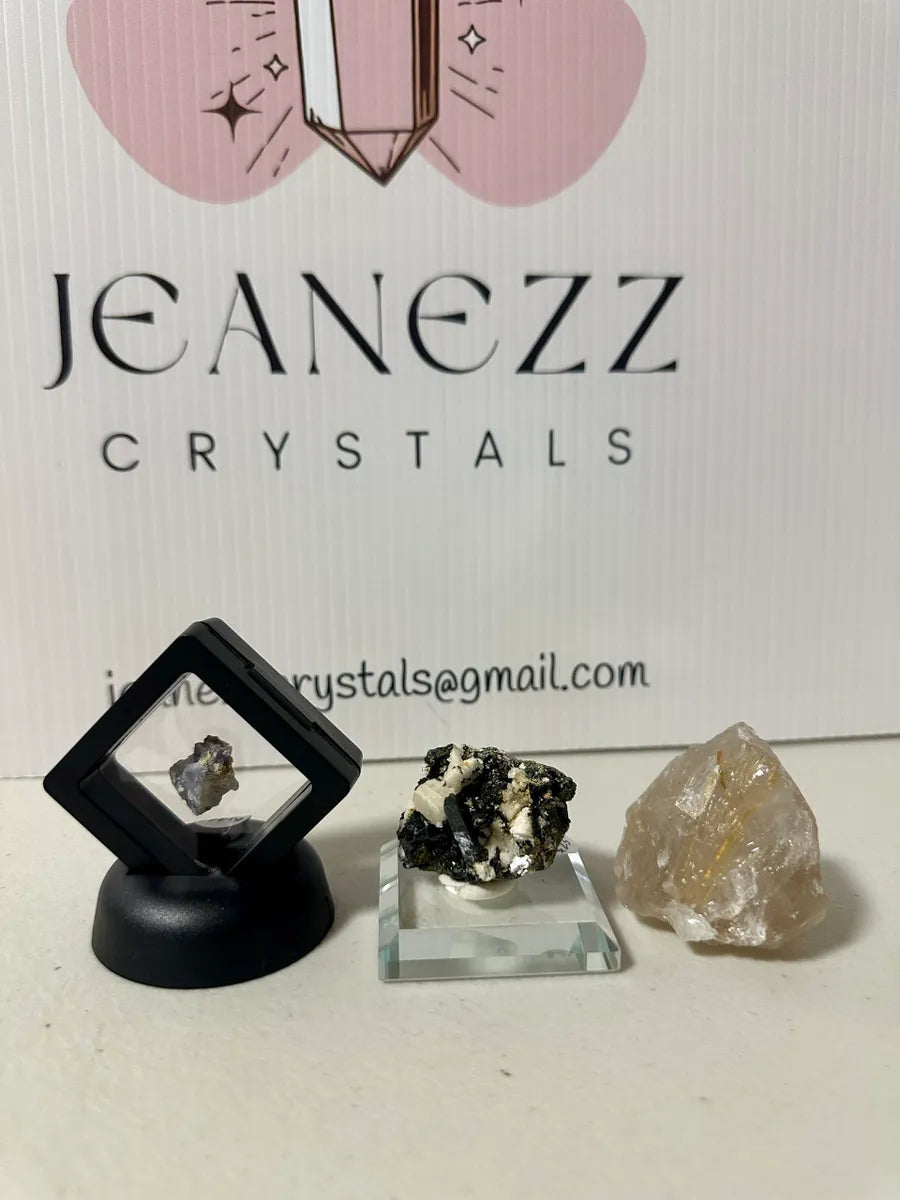NICOLA - Live Sale - OPEN BOX