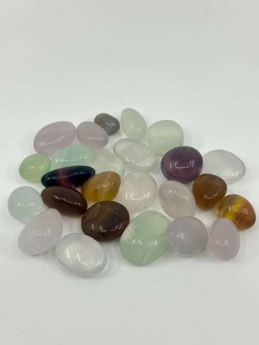 TUMBLES - Fluorite, African Bloodstone, Seraphinite, Prehnite, Epidote, Moss Agate, Mixed Chip Bag