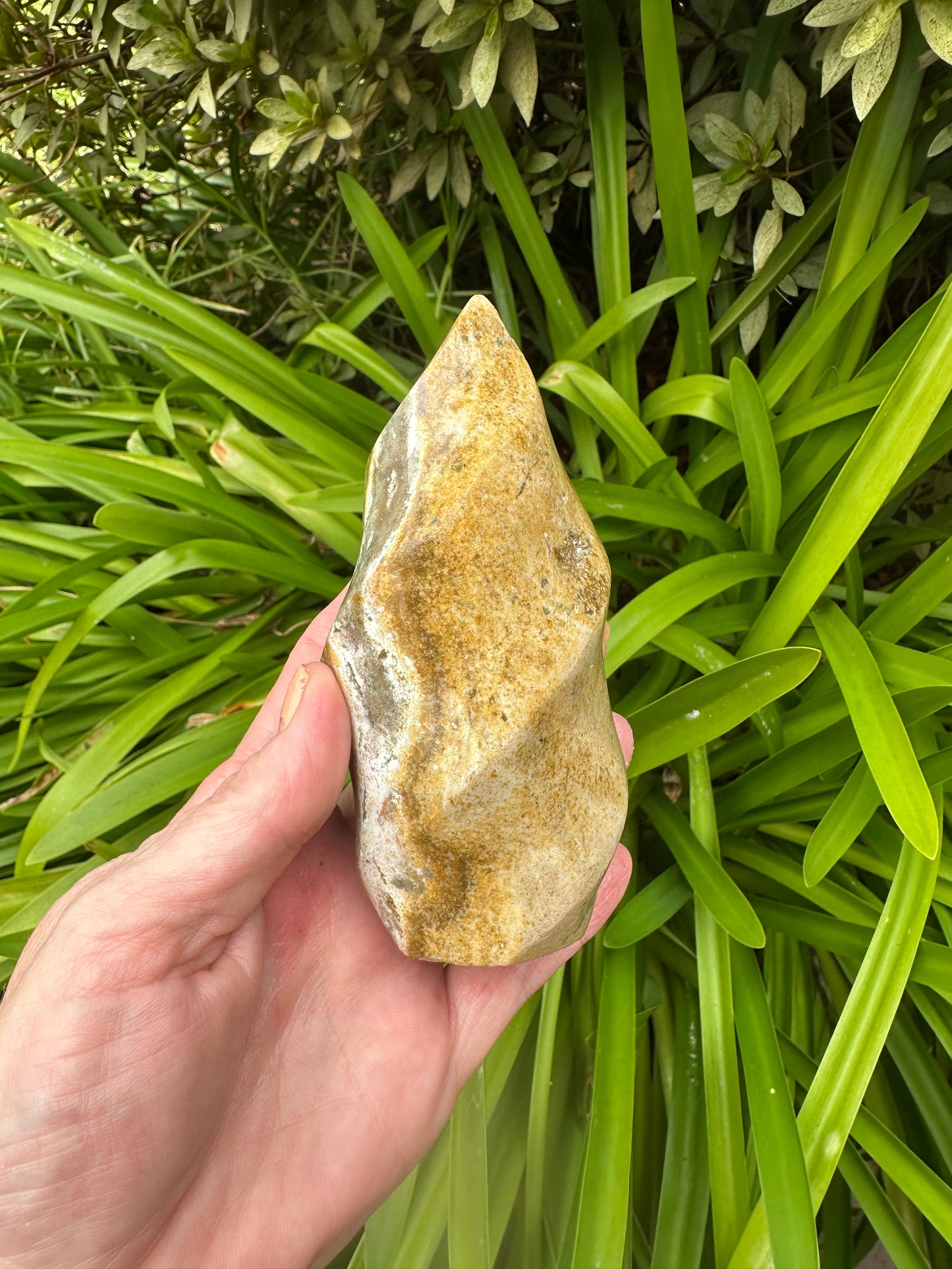 OCEAN JASPER FLAMES