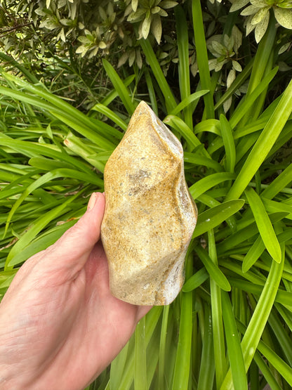 OCEAN JASPER FLAMES