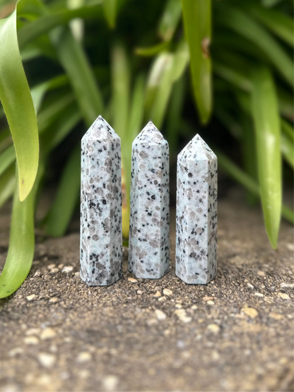 KIWI JASPER TOWERS