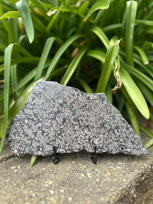 BLOSSOM JASPER SLAB and stand