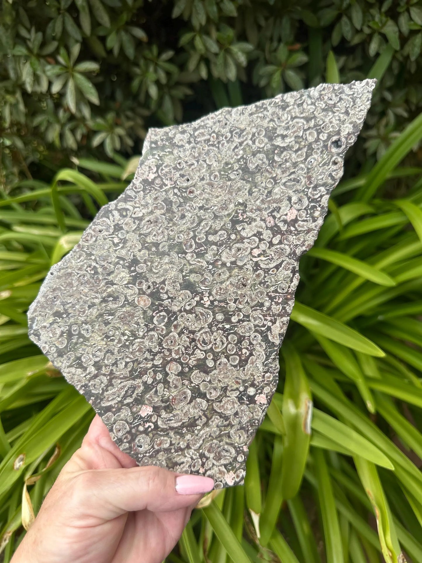 BLOSSOM JASPER SLAB and stand