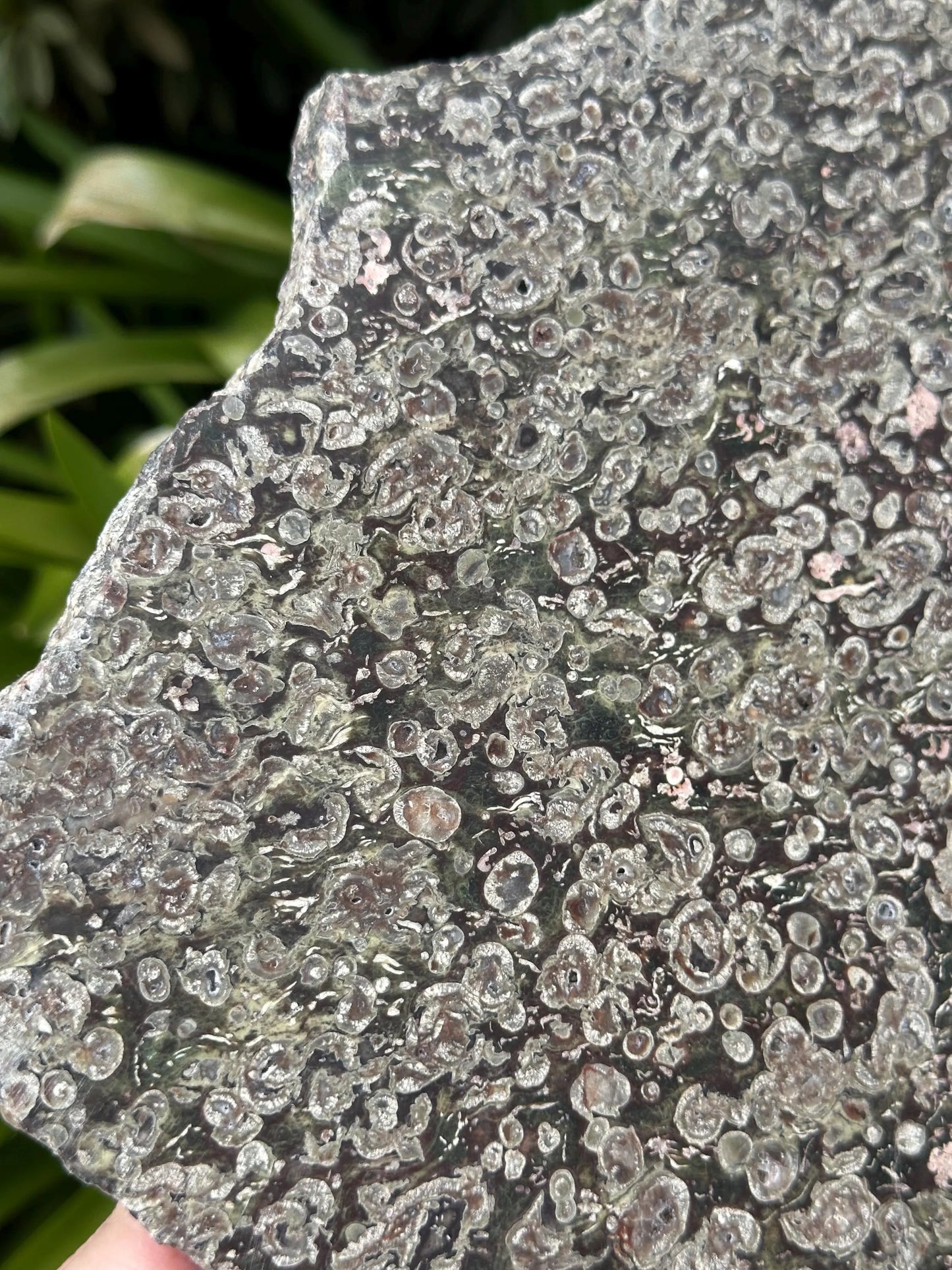 BLOSSOM JASPER SLAB and stand