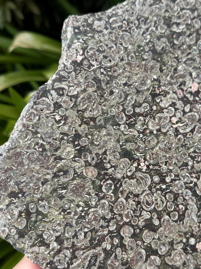 BLOSSOM JASPER SLAB and stand