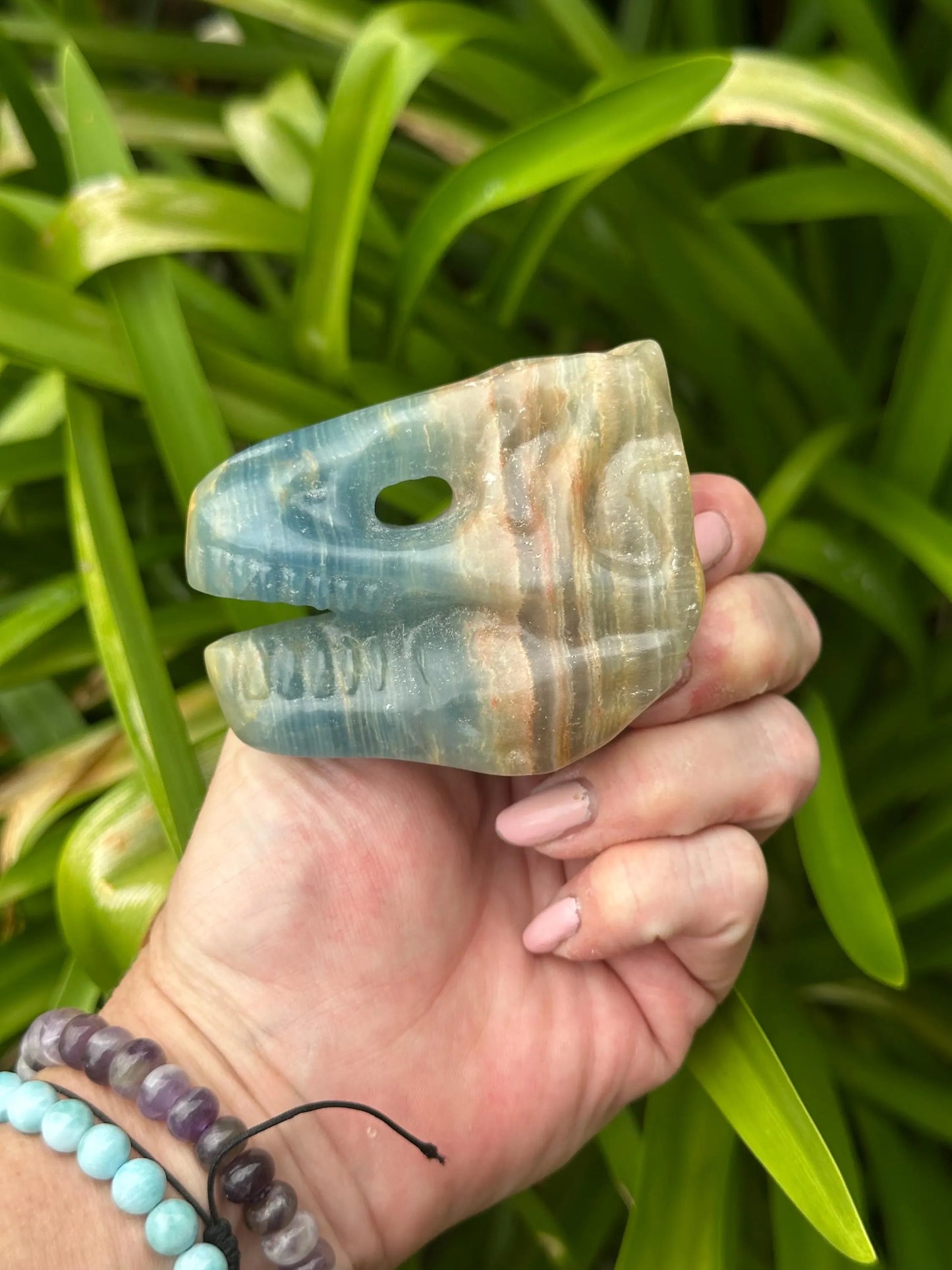 BLUE ONYX DINOSAUR SKULL