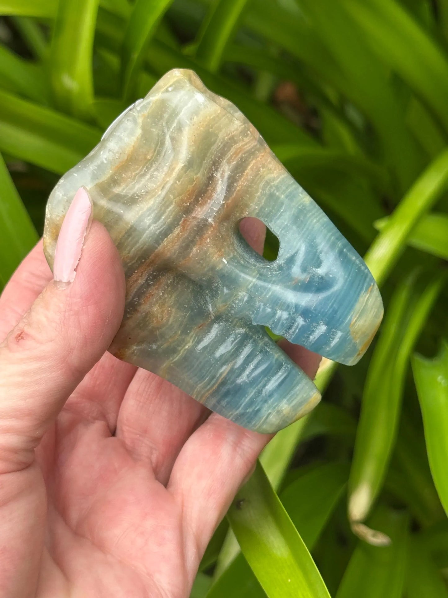 BLUE ONYX DINOSAUR SKULL