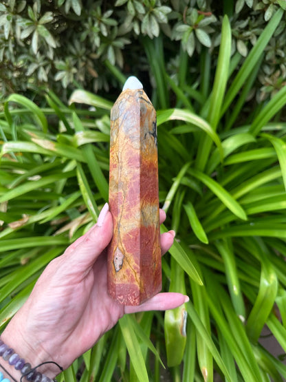 PETRIFIED WOOD TOWERS
