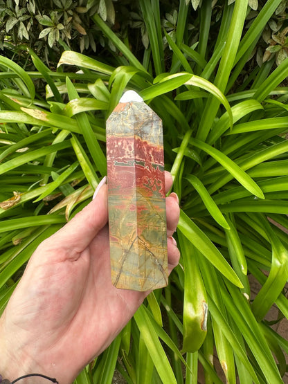 PETRIFIED WOOD TOWERS