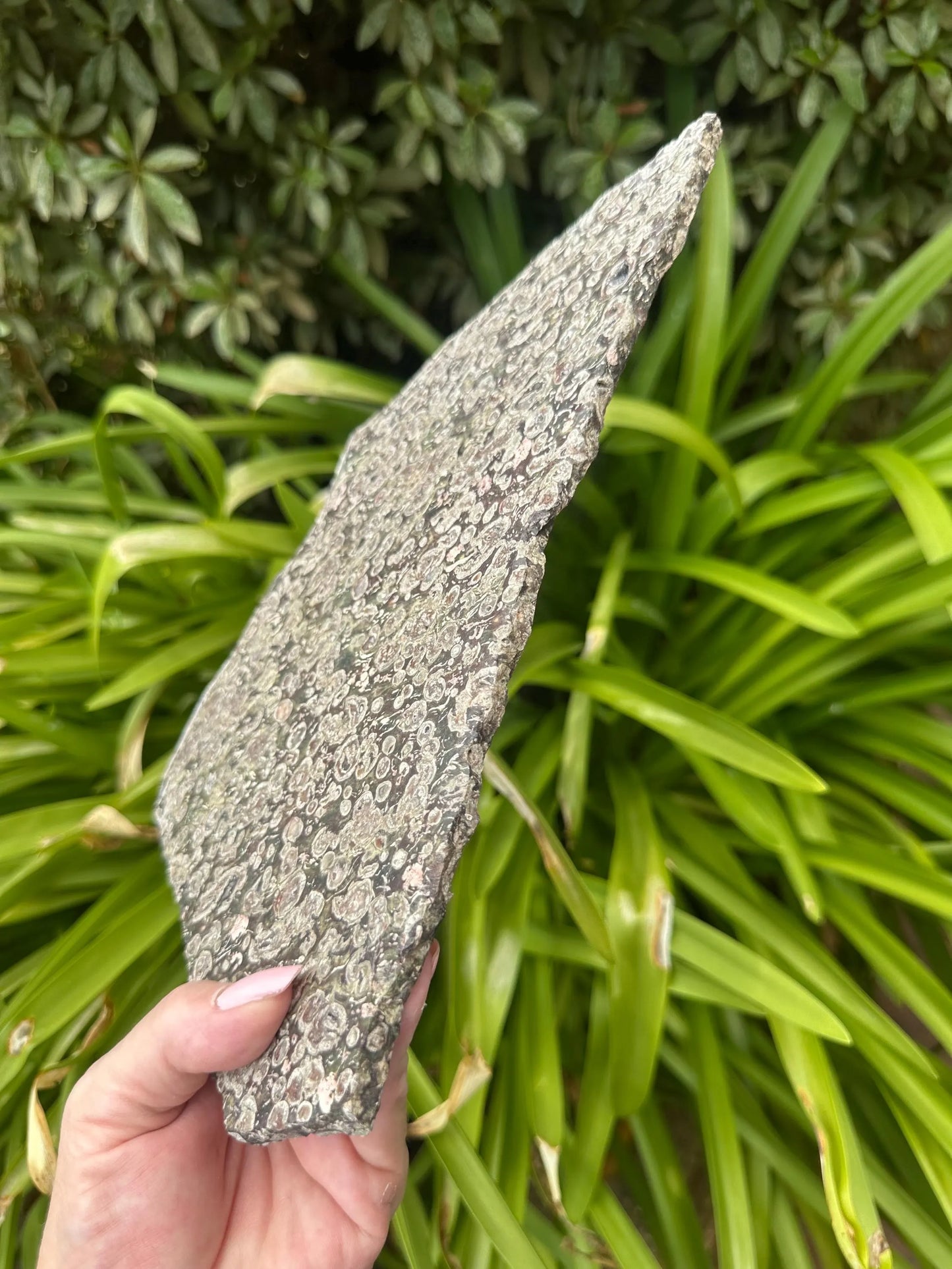 BLOSSOM JASPER SLAB and stand