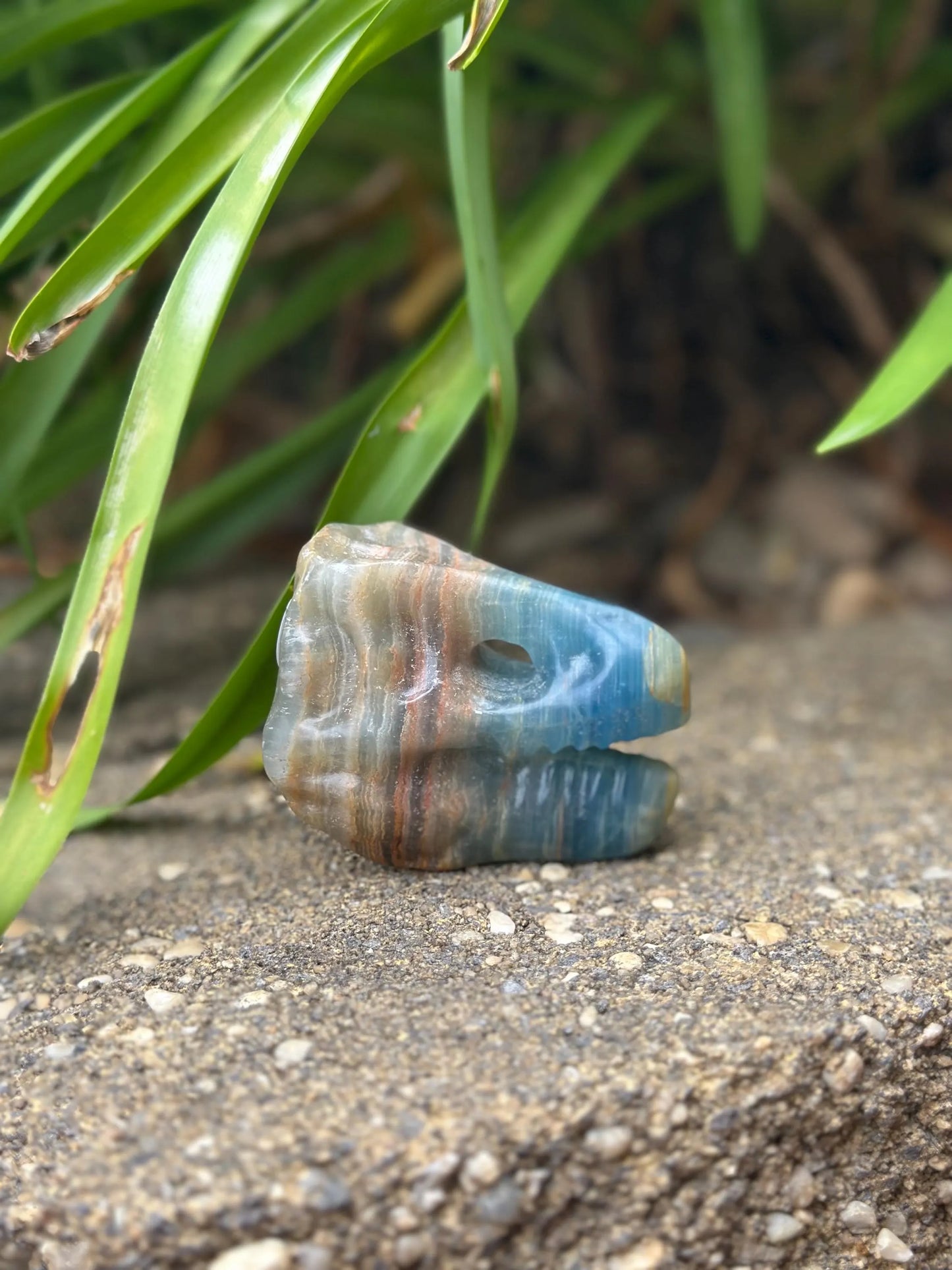 BLUE ONYX DINOSAUR SKULL