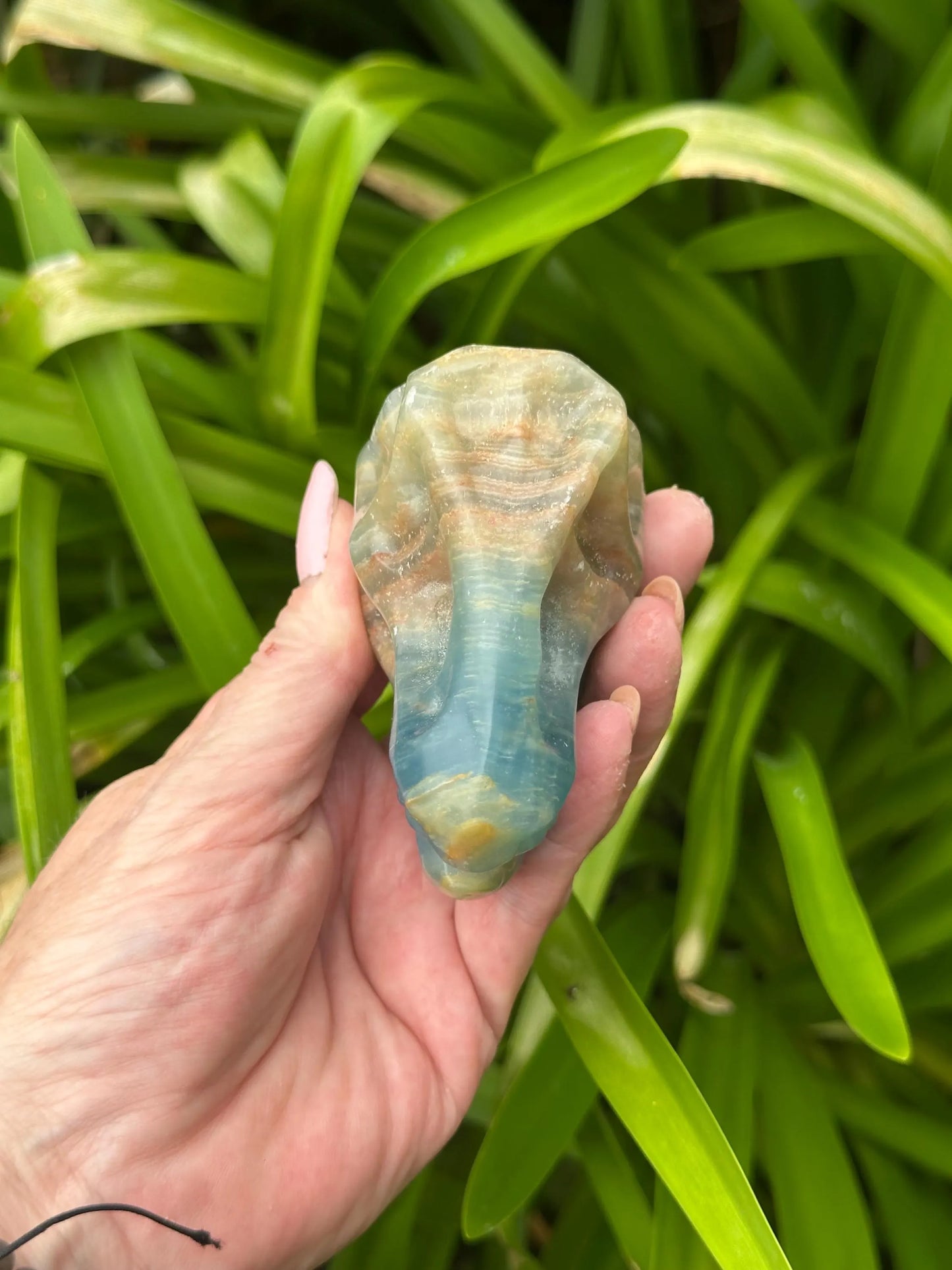 BLUE ONYX DINOSAUR SKULL