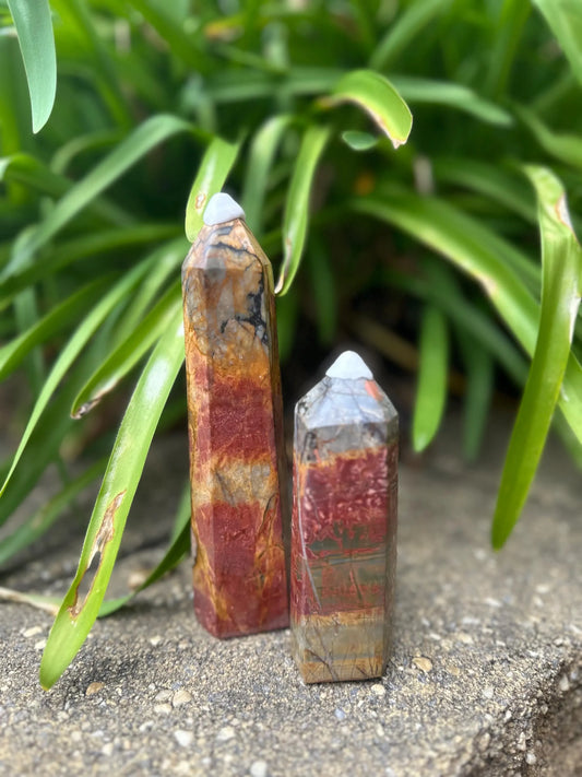 PETRIFIED WOOD TOWERS