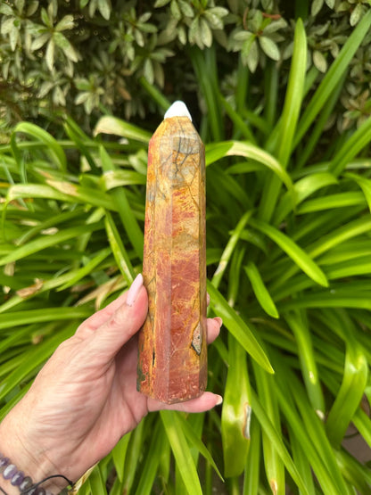 PETRIFIED WOOD TOWERS