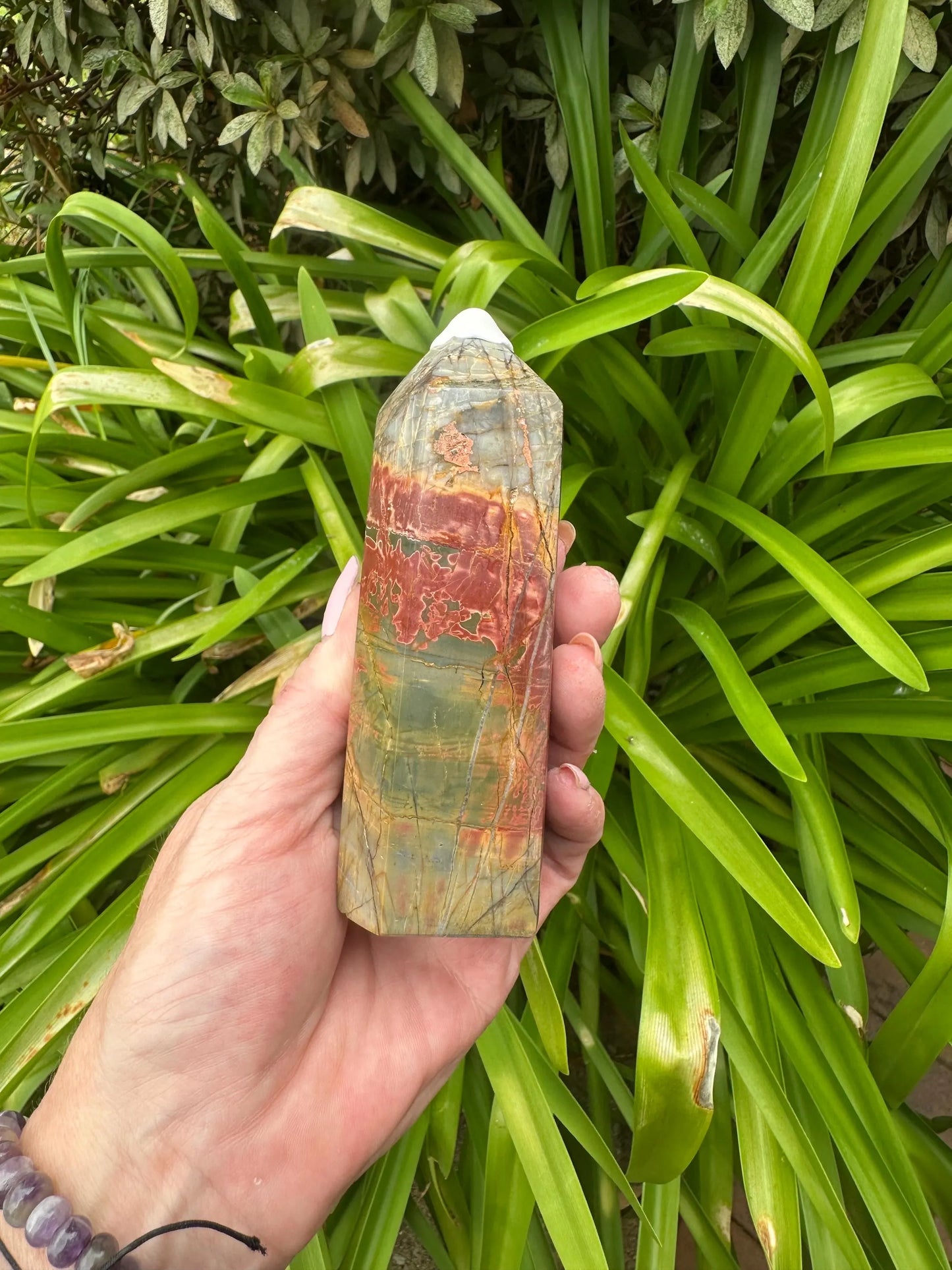 PETRIFIED WOOD TOWERS