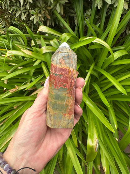 PETRIFIED WOOD TOWERS