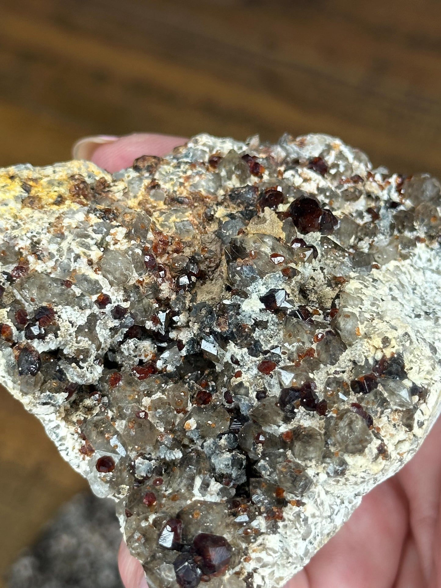 GARNET SPECIMENS