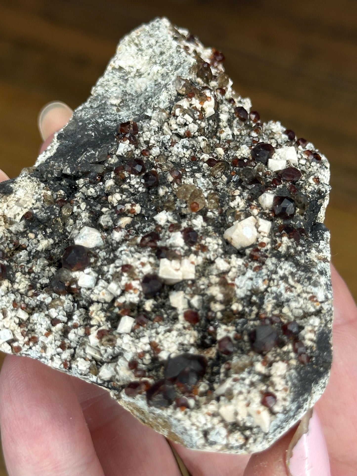 GARNET SPECIMENS