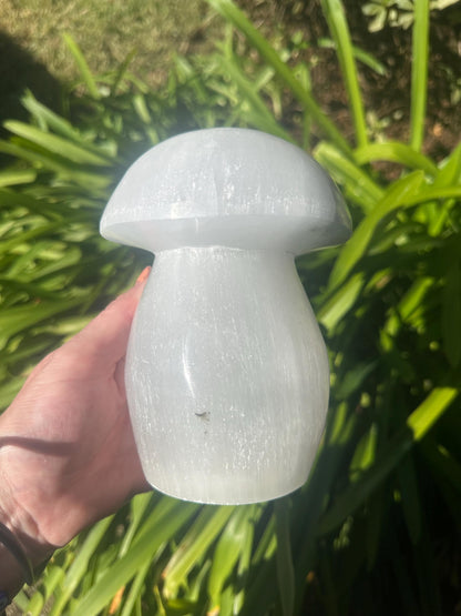 SELENITE MUSHROOM LAMP