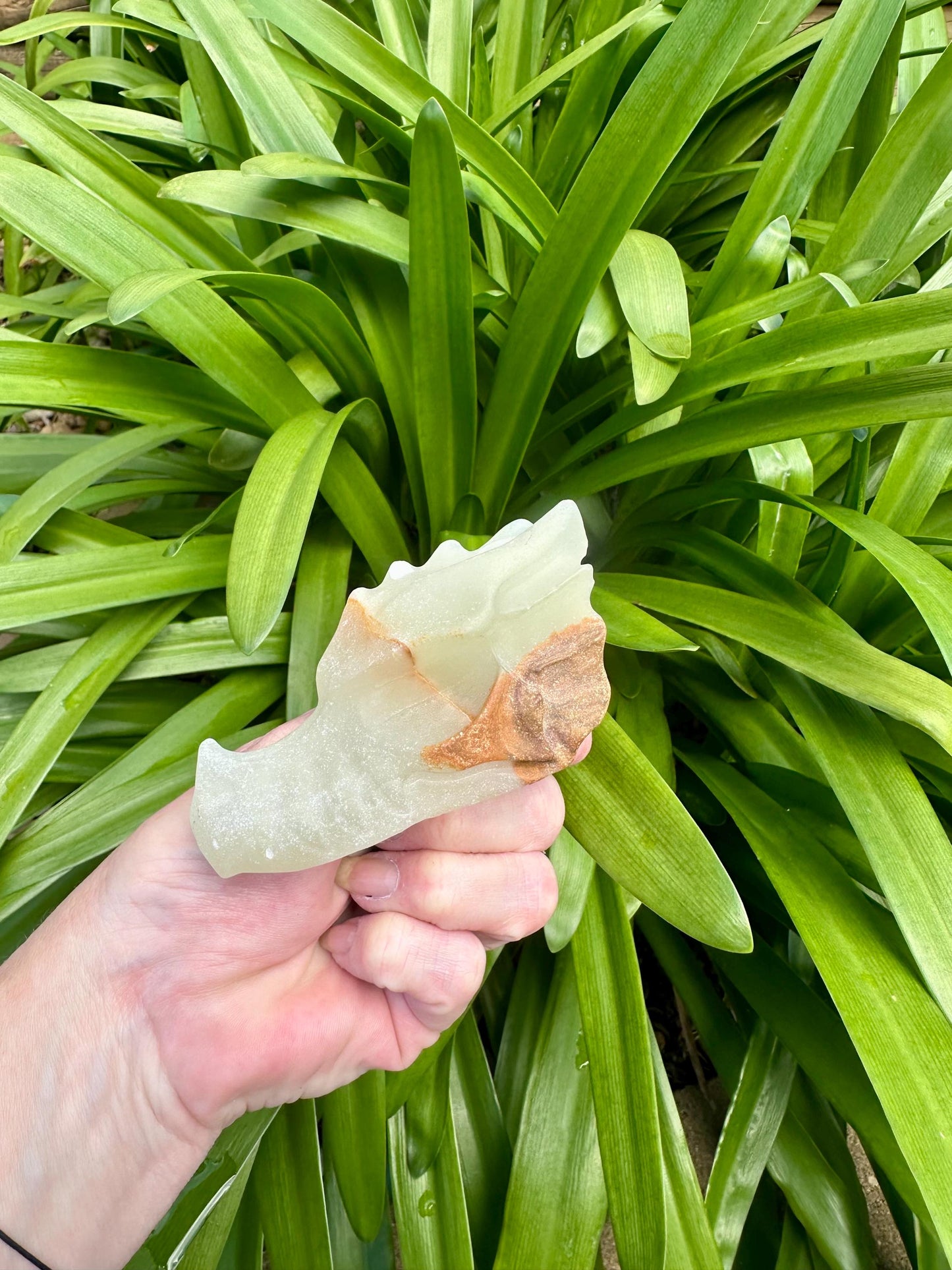 AFGHAN JADE DRAGON Head