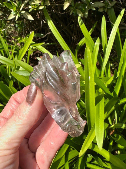 SMOKY Quartz CLEAR Quartz DRAGONHEAD